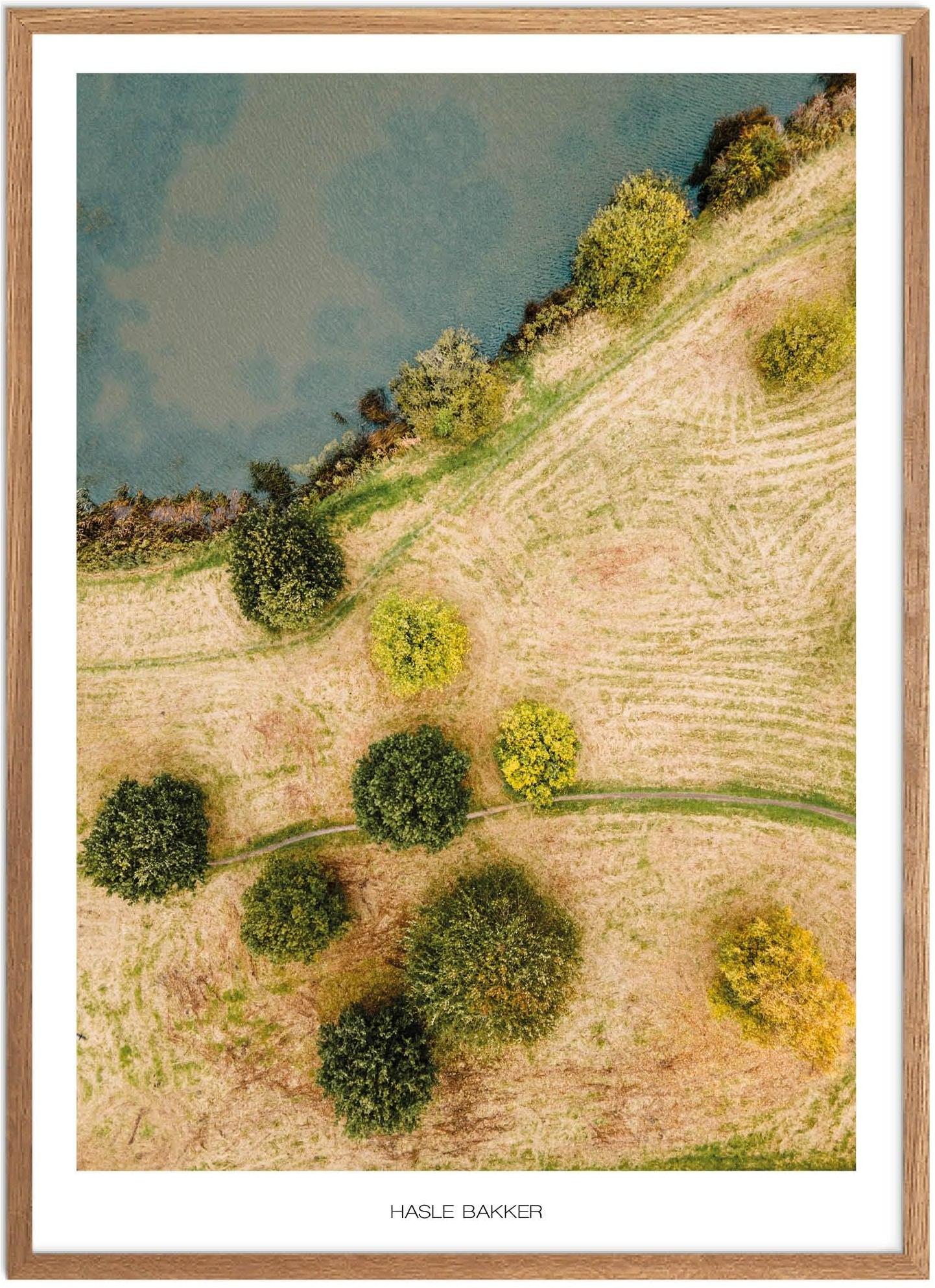 Plakat af Hasle Bakker | Naturplakat fra Aarhus