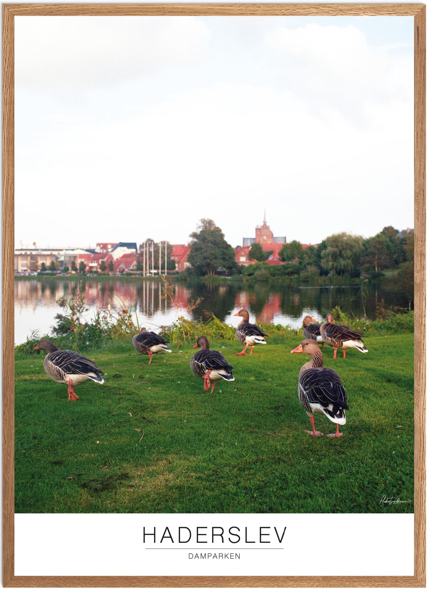 Plakat af Haderslev Dampark | Naturplakat med udsigt