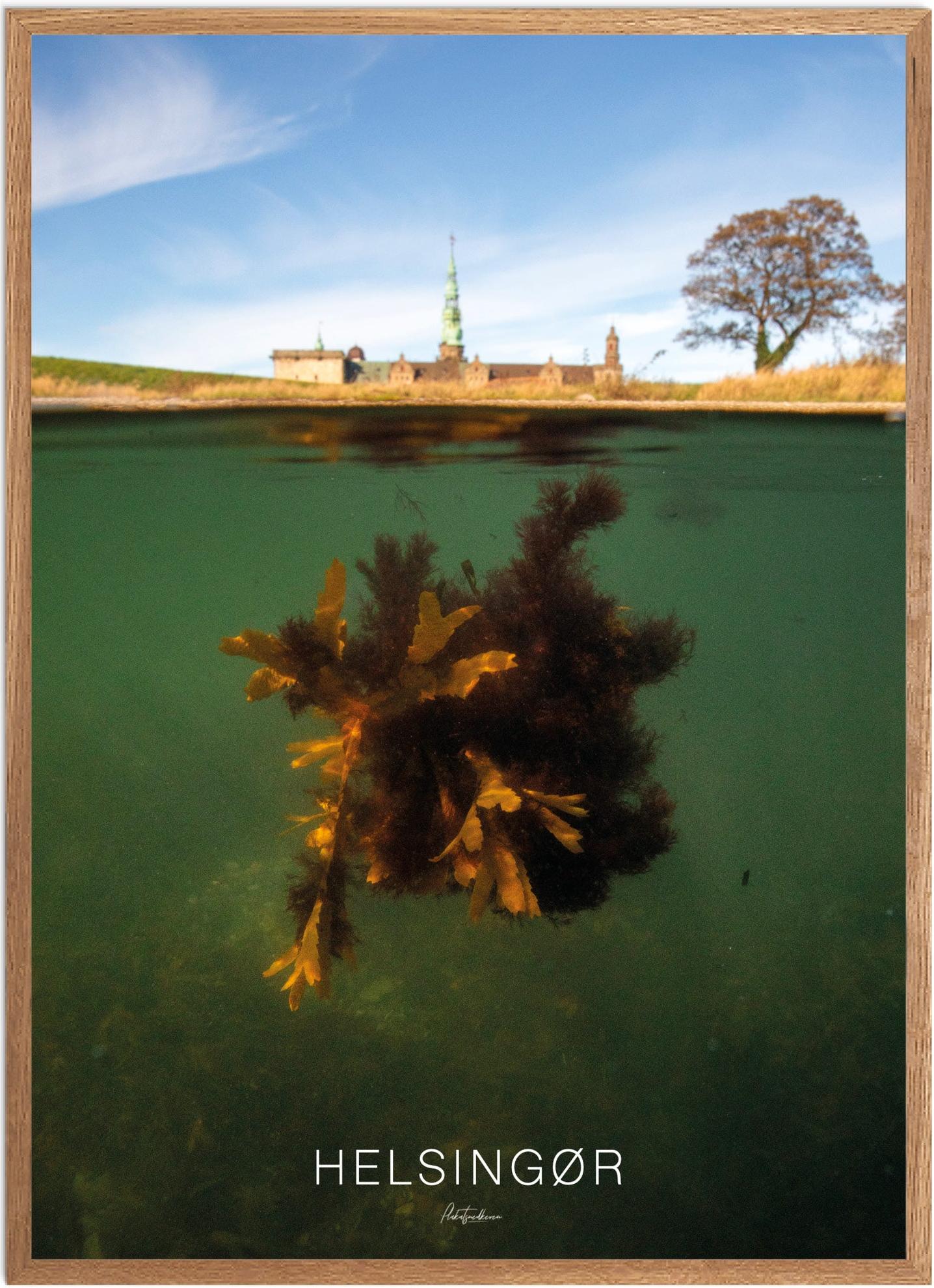 Plakat af Helsingør med Kronborg Slot - Naturplakat
