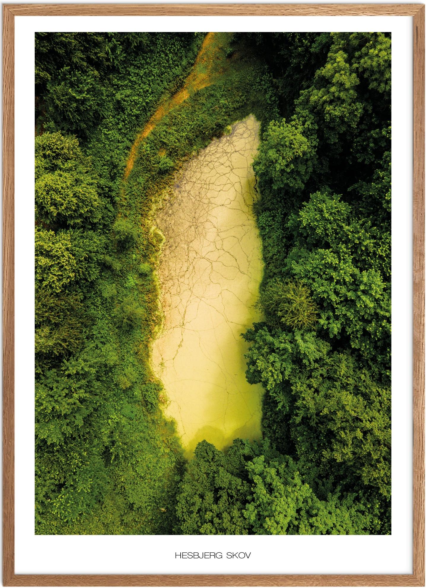 Hesbjerg Skov Plakat - Smuk Naturplakat fra Fyn