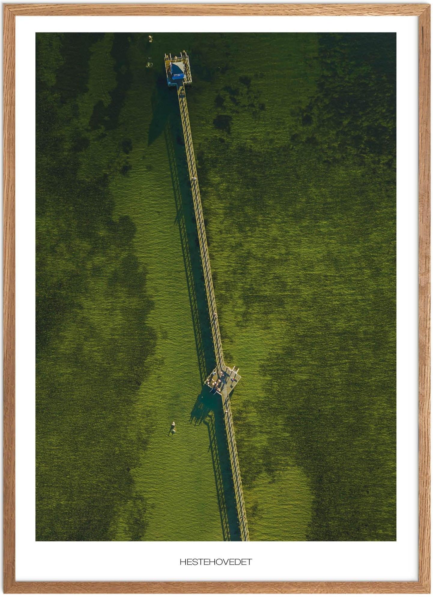 Plakat med Hestehovedet | Naturplakat fra Lolland-Falster