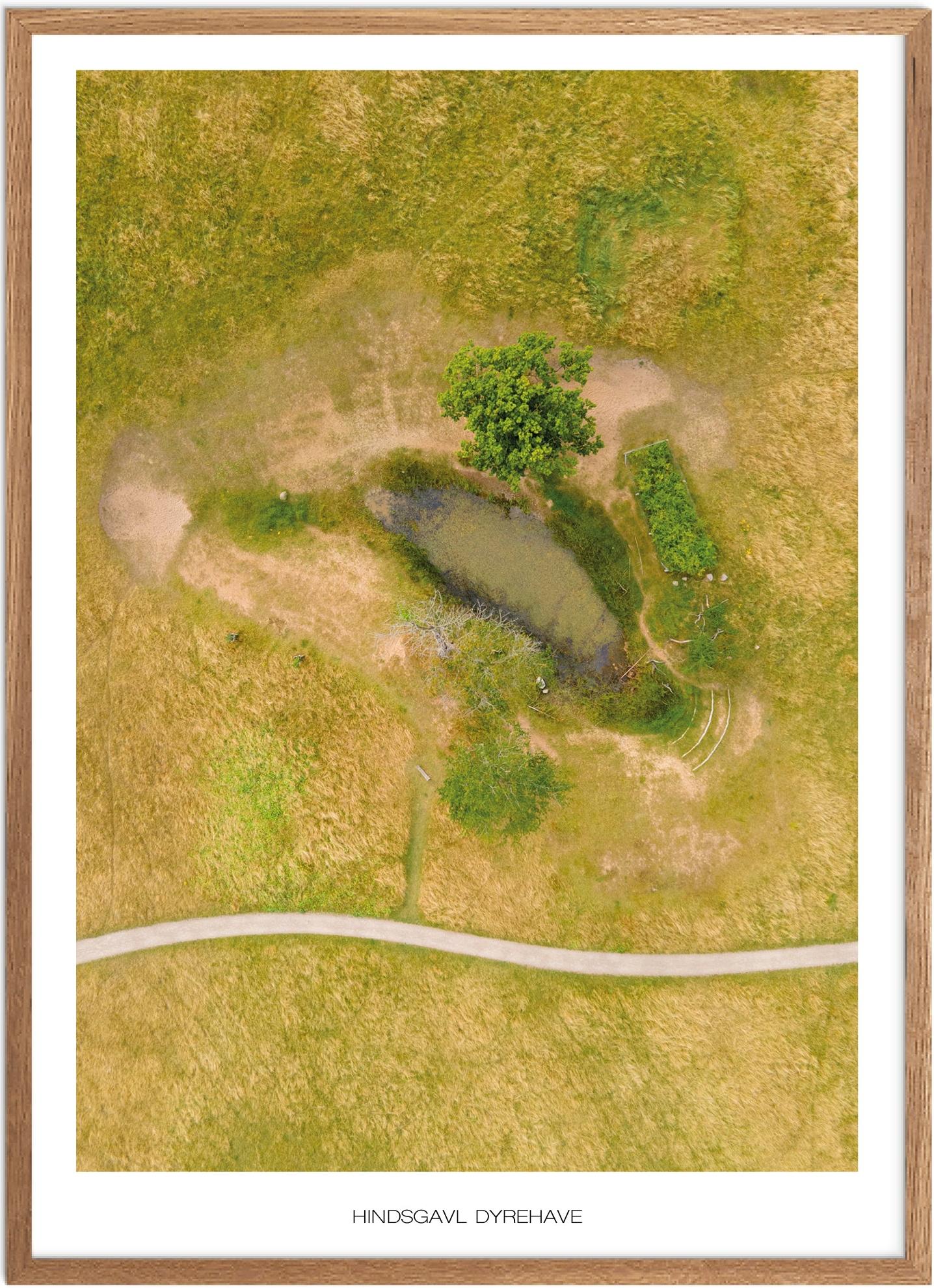 Plakat af Hindsgavl Dyrehave | Naturplakat til salg