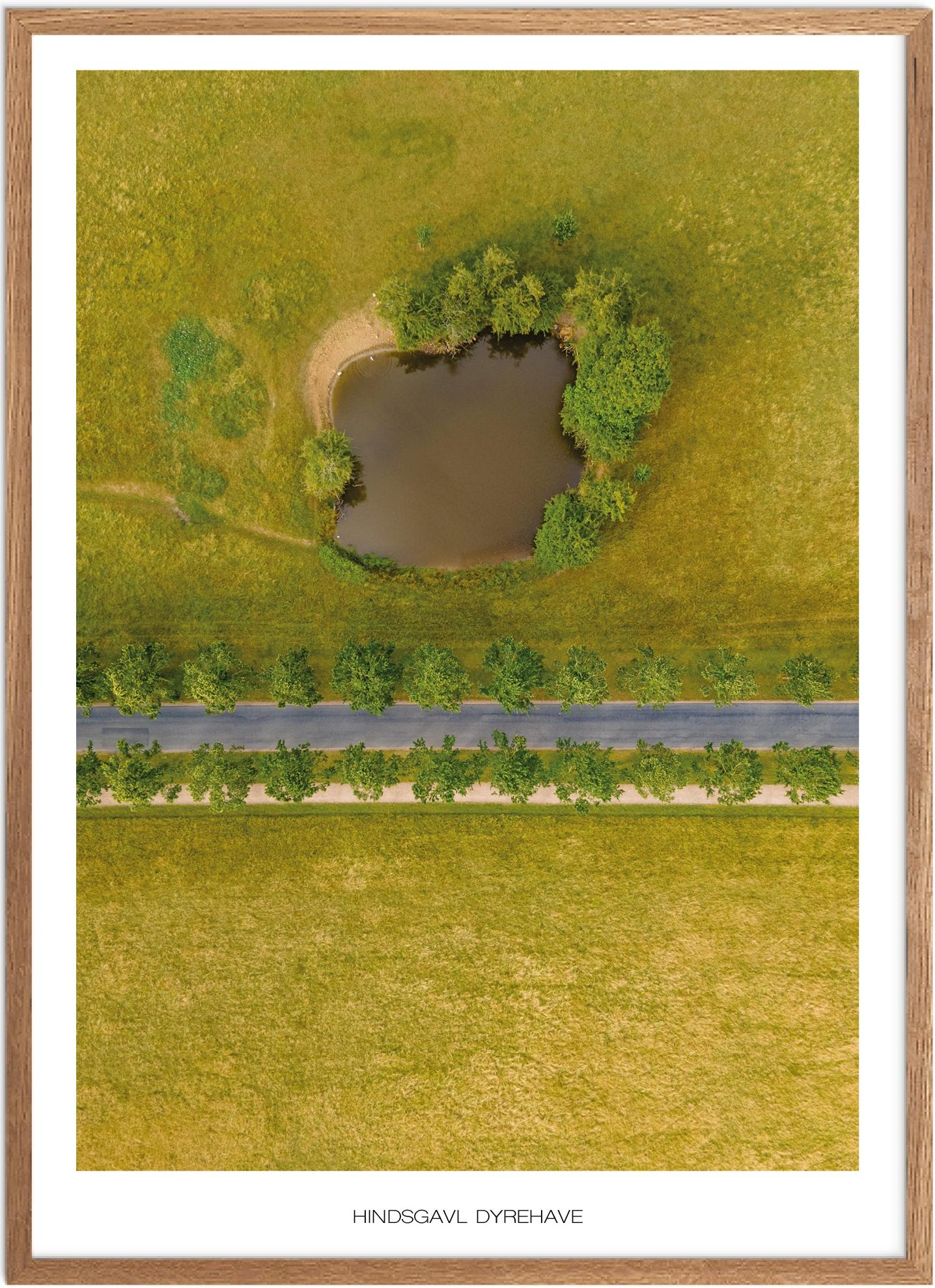 Hindsgavl Dyrehave Plakat | Naturplakat fra Fyn