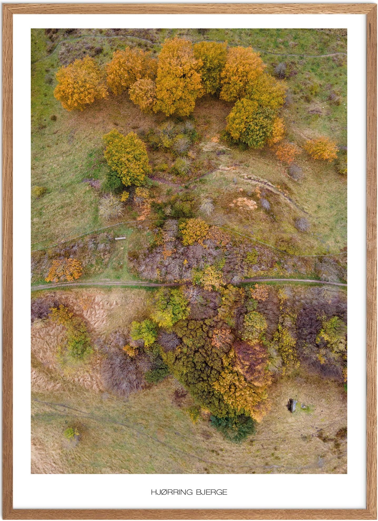 Naturplakat af Hjørring Bjerge - Plakatsnedkeren