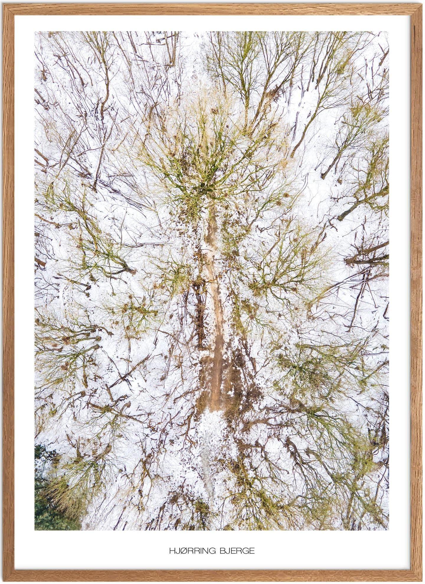 Naturplakat af Hjørring Bjerge - Oplev Nordjylland