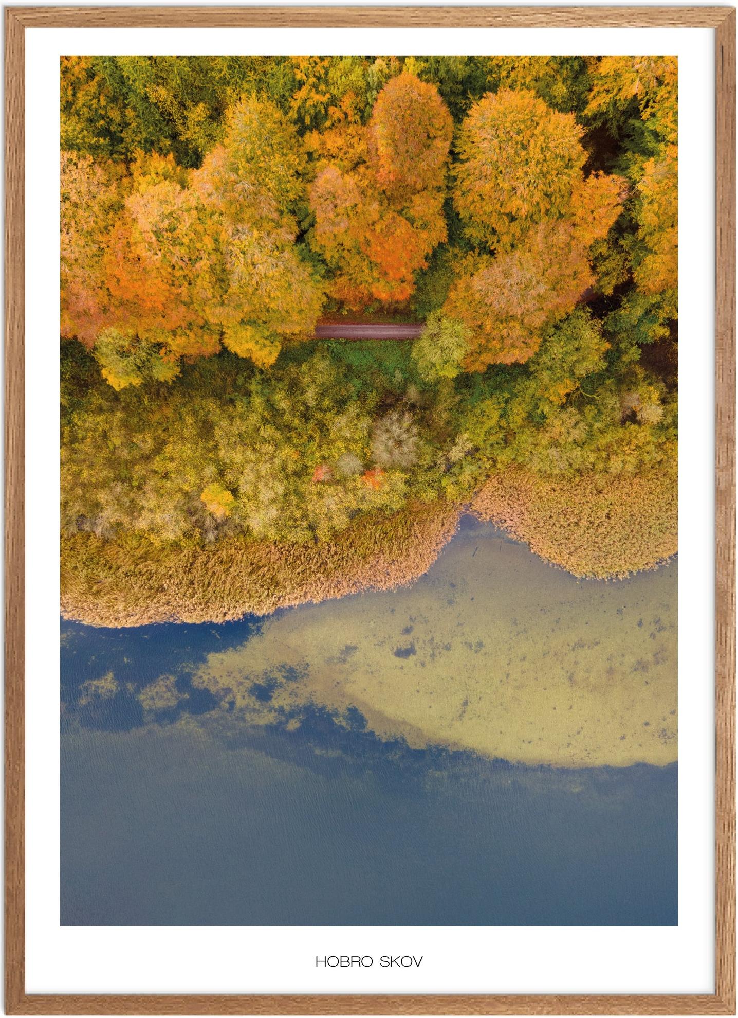 Naturplakat af Hobro Skov - Plakater fra Nordjylland