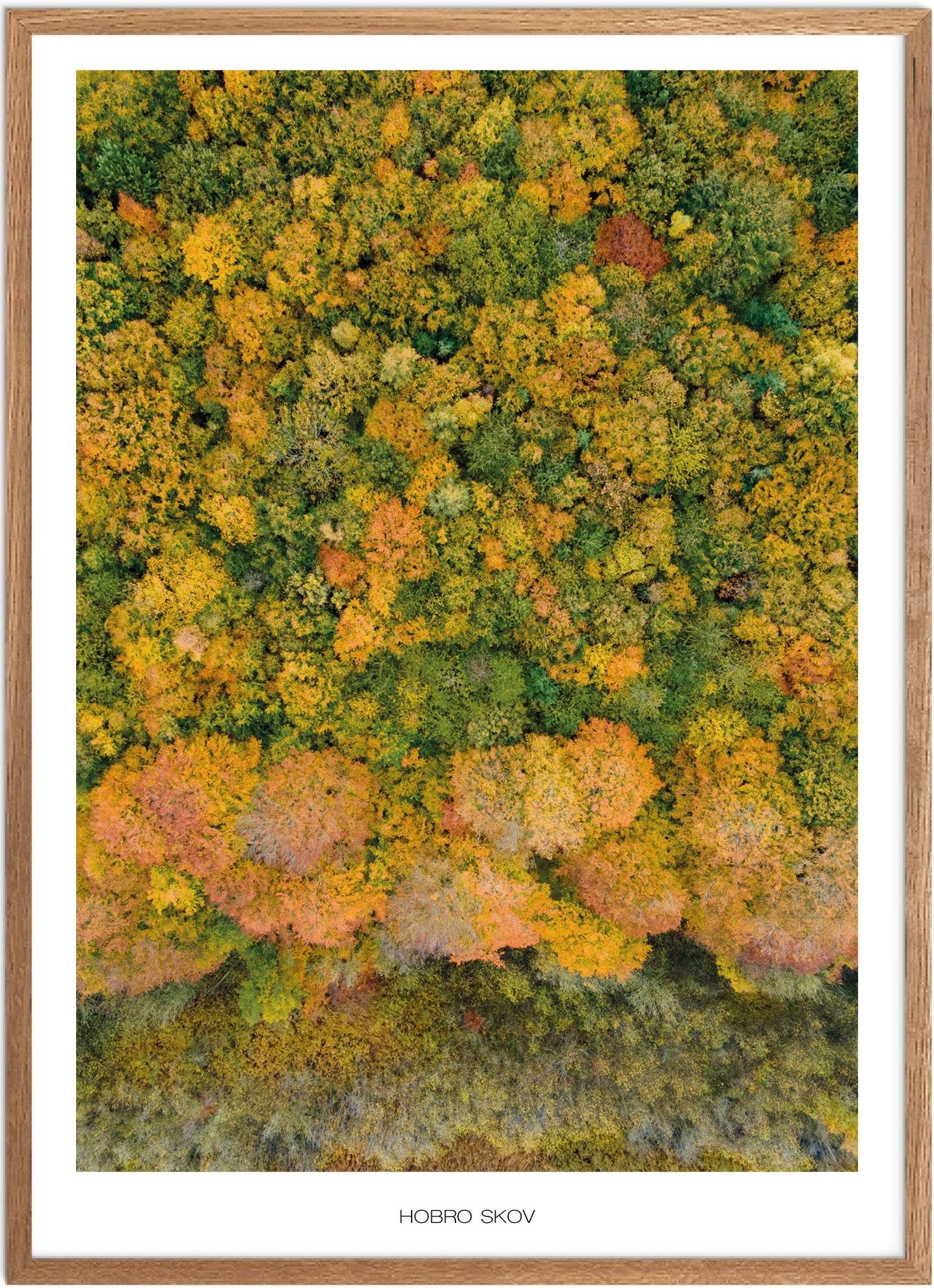 Naturplakat af Hobro Skov - Smuk Nordjylland Plakat