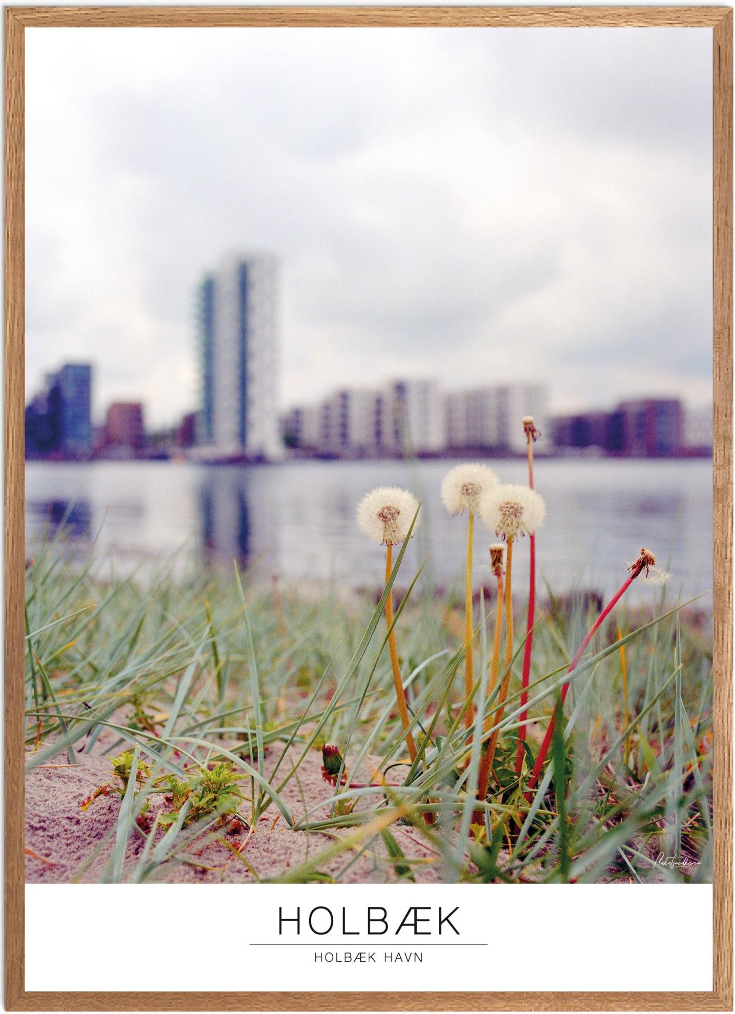 Holbæk Havn Plakat | Smuk Naturplakat til Dit Hjem