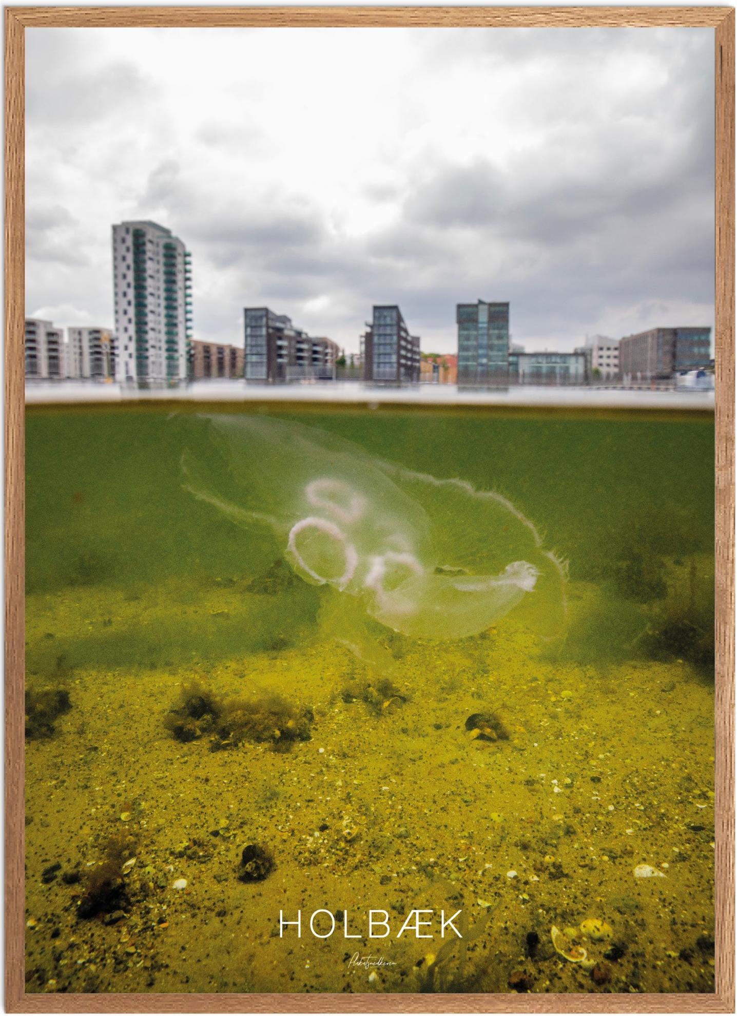 Plakat af Holbæk | Naturplakat med havnefronten