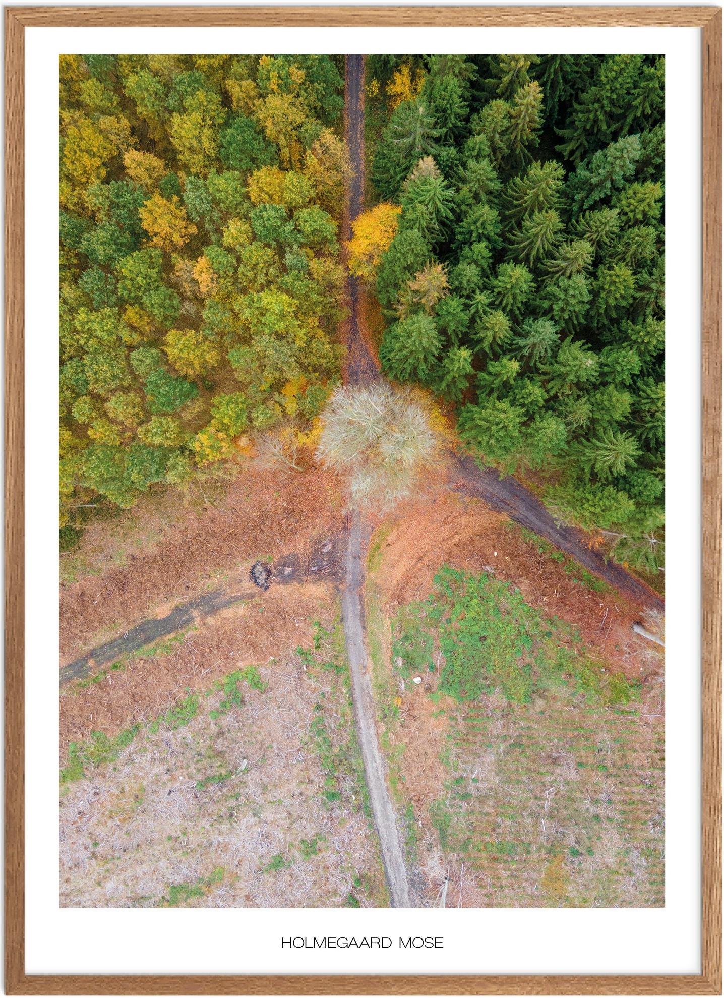 Holmegaard Naturplakat fra Plakatsnedkeren - Unik Kunst