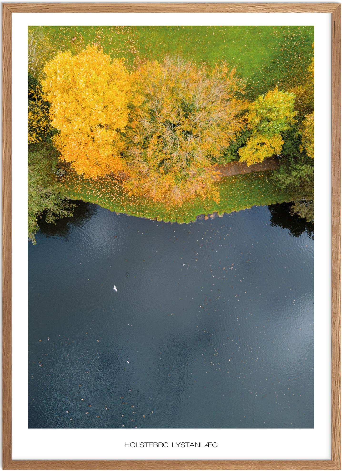 Plakat af Holstebro Lystanlæg | Naturplakat i Vestjylland