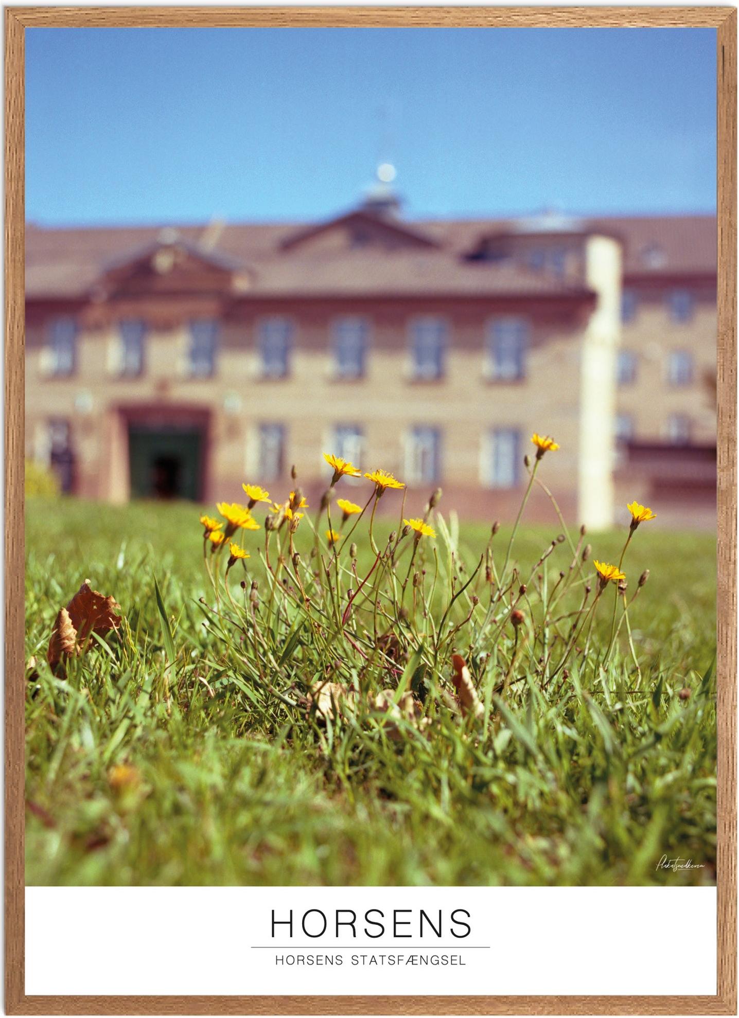 Plakat af Horsens Statsfængsel | Naturplakat med stil