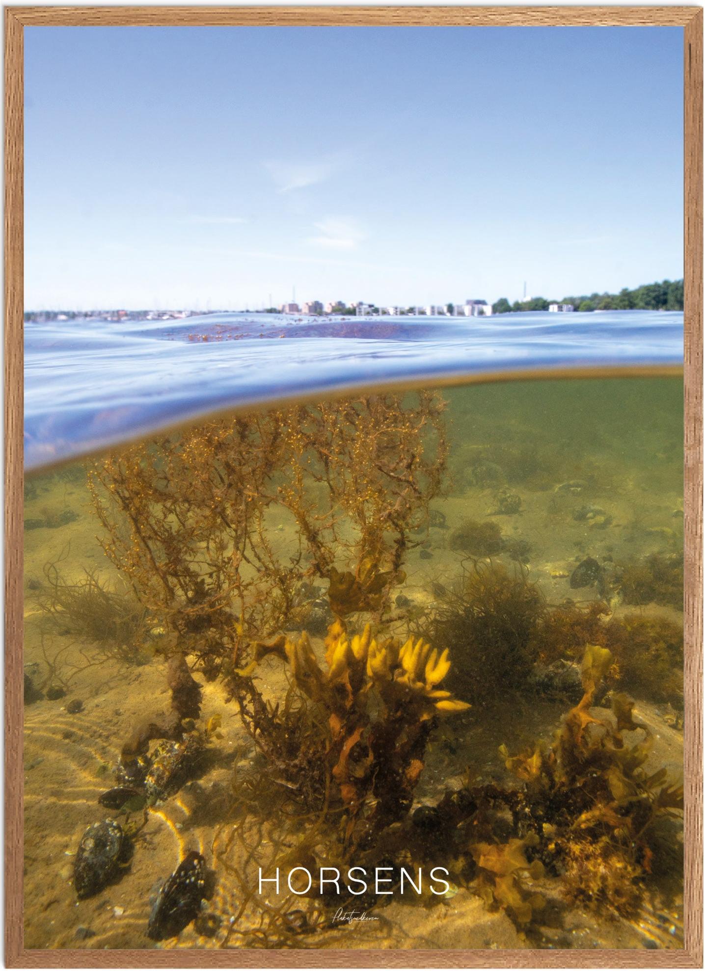 Plakat af Horsens | Naturplakat med smukke motiver