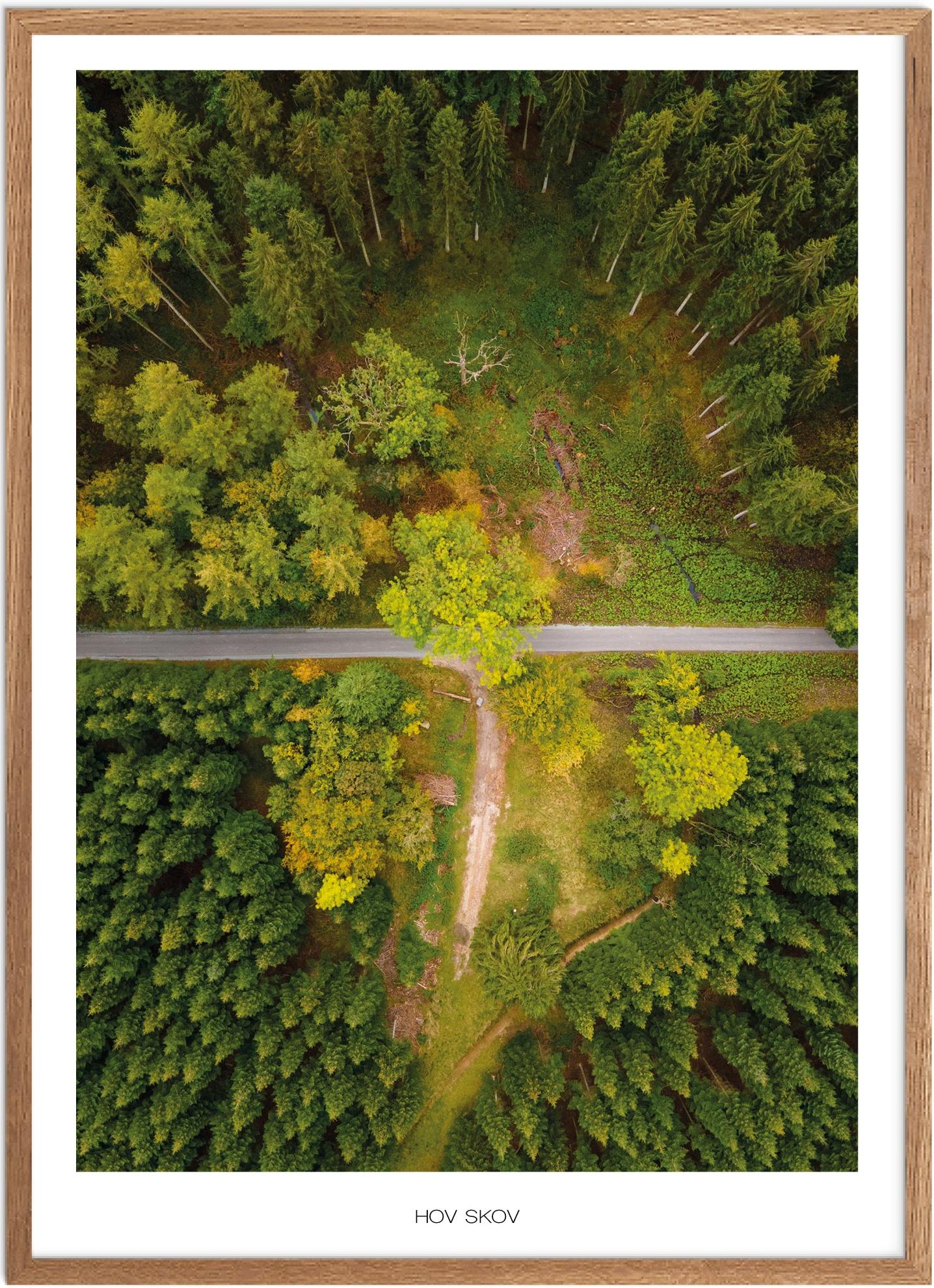 Plakat af Hov Skov | Smuk Naturplakat til dit hjem