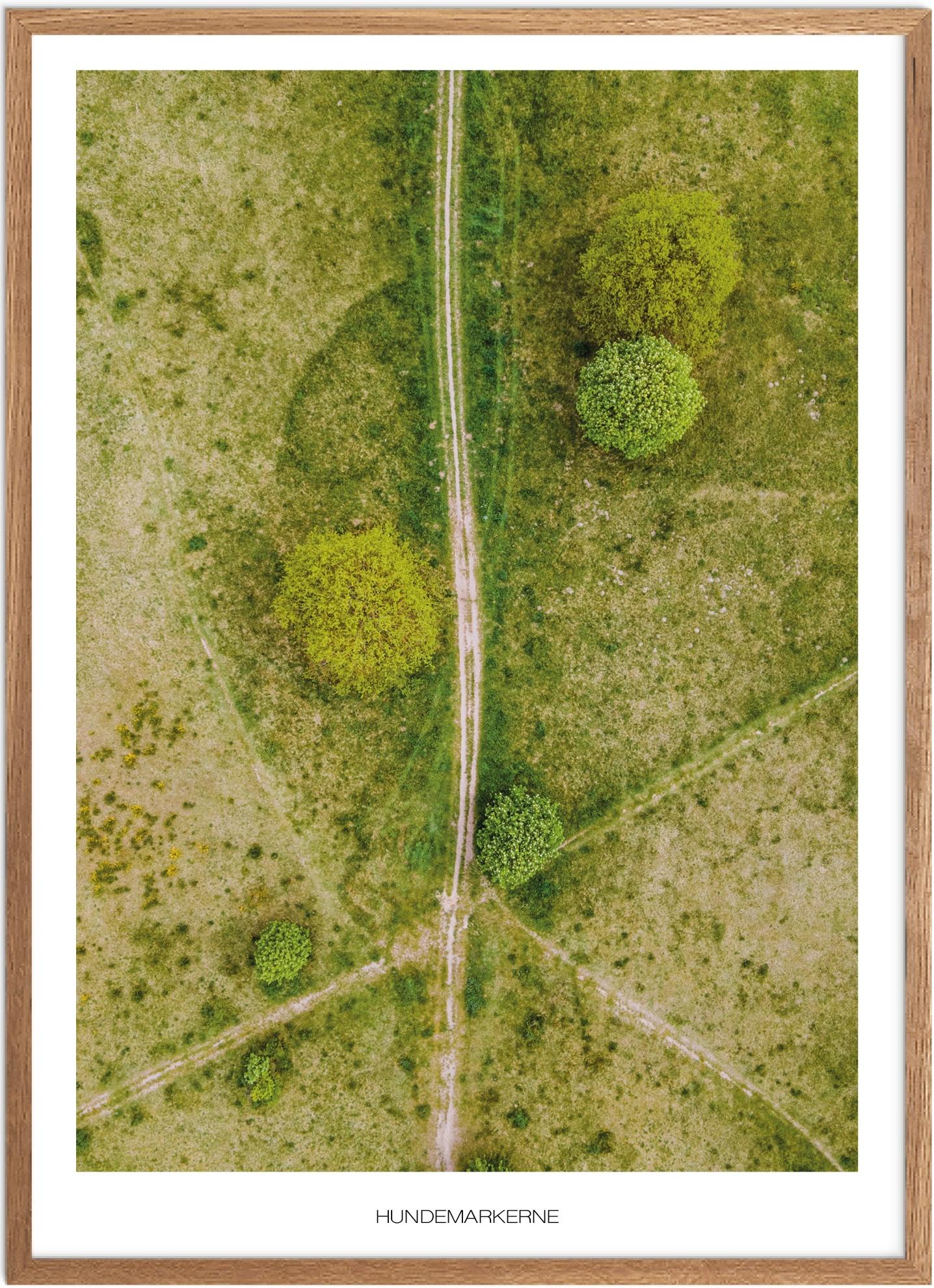 Plakat af Hundemarkerne i Nordsjælland | Naturplakat