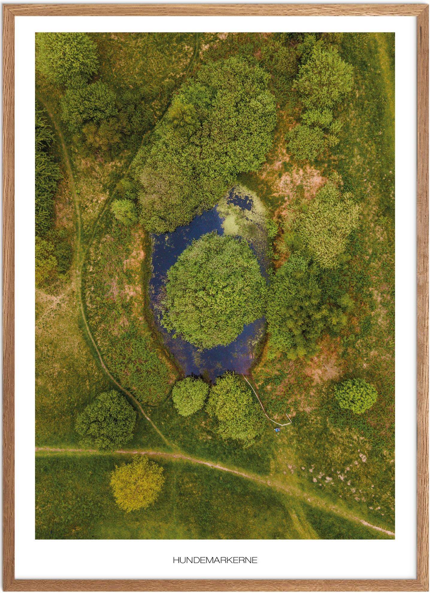 Plakat af Hundemarkerne | Naturplakat fra Nordsjælland