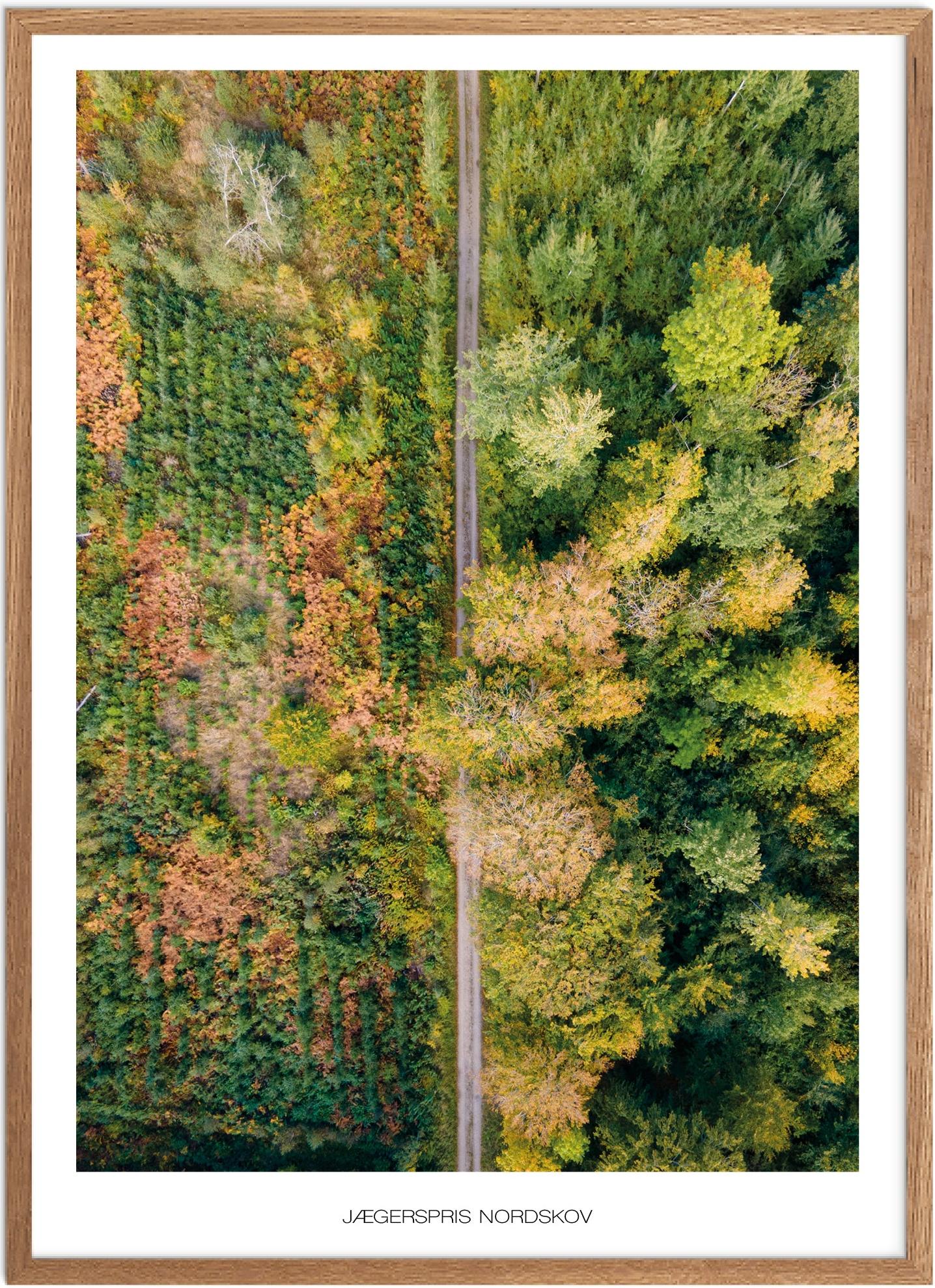 Plakat af Jægerspris Nordskov | Smuk Naturplakat