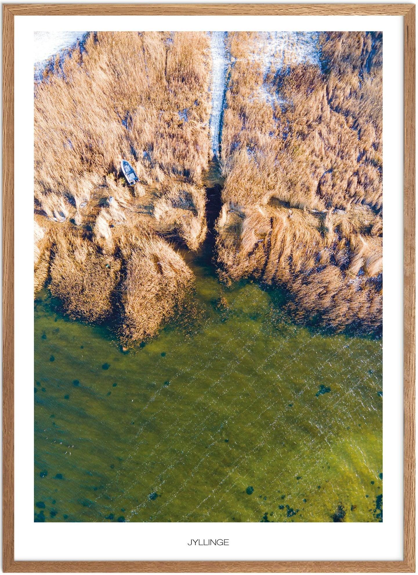 Naturplakat fra Plakatsnedkeren - Udforsk Jyllinge nu!