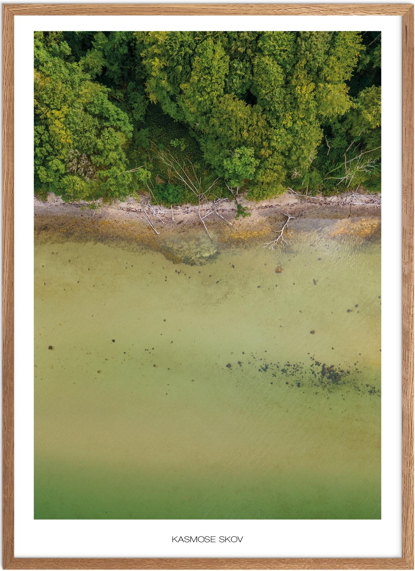 Plakat af Kasmose Skov | Naturplakat fra Fyn