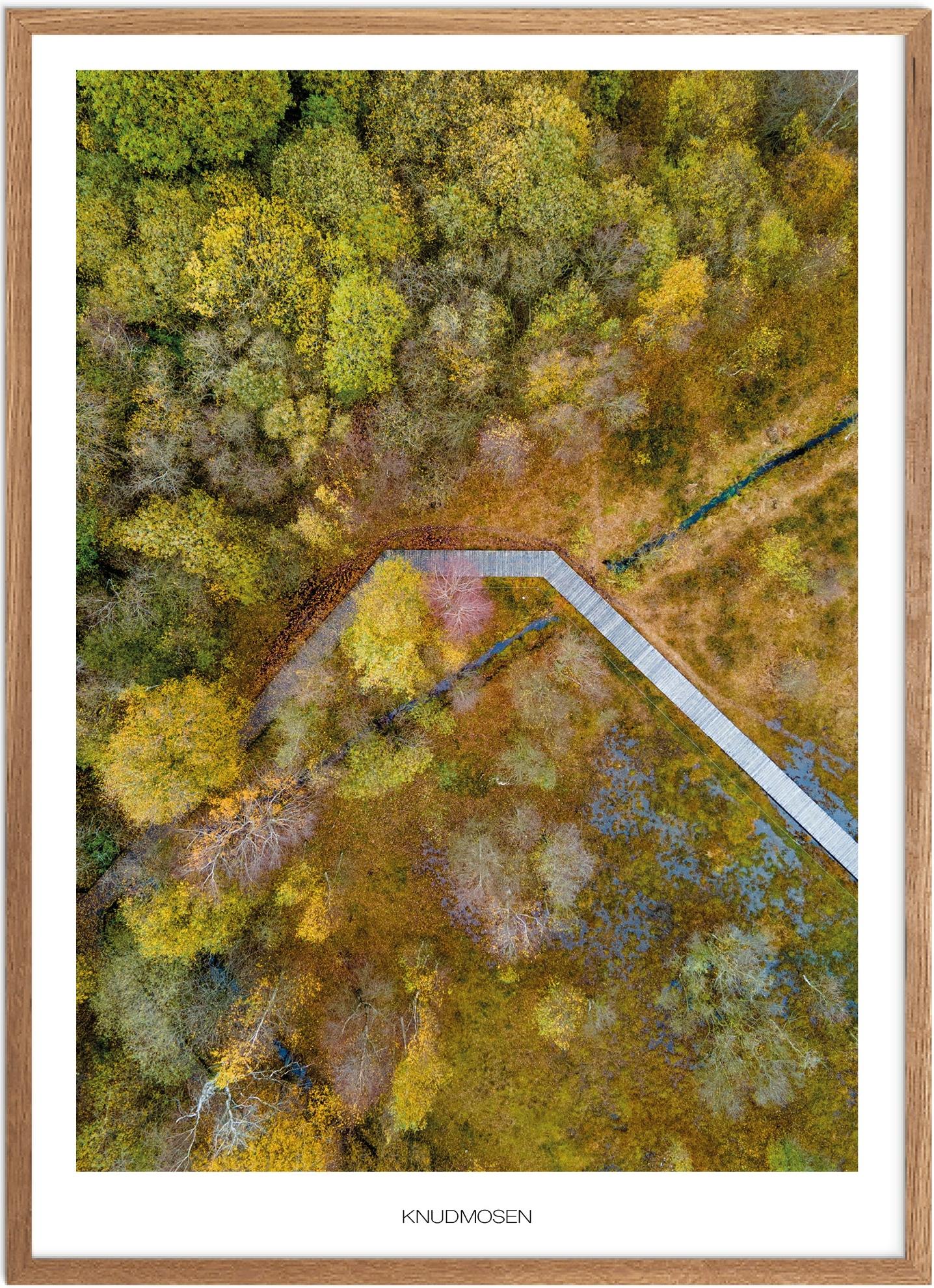 Plakat af Knudmosen | Naturplakat fra Vestjylland