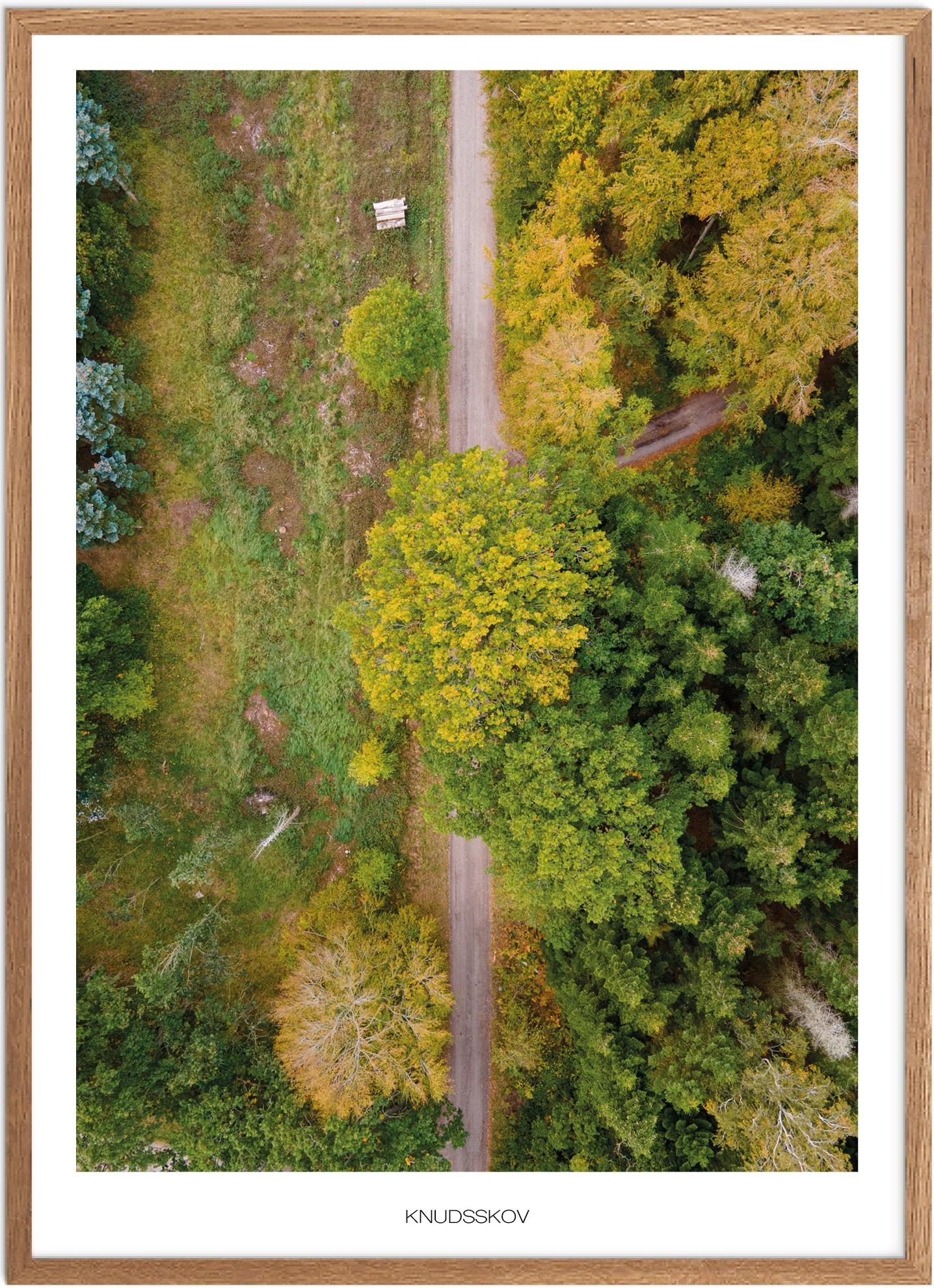 Plakat af Knudshoved Odde | Naturplakat til hjemmet