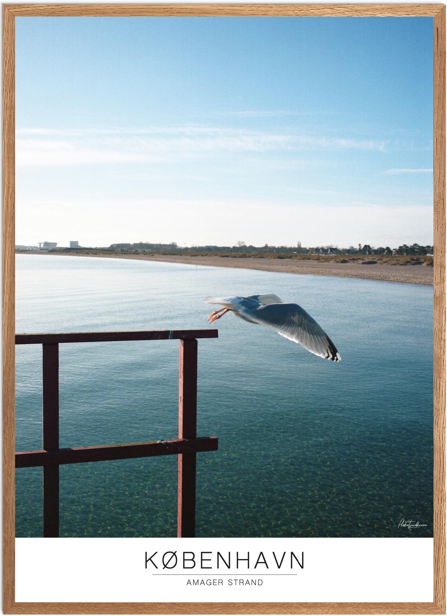 Plakat af Amager Strand | Naturplakat til dit hjem