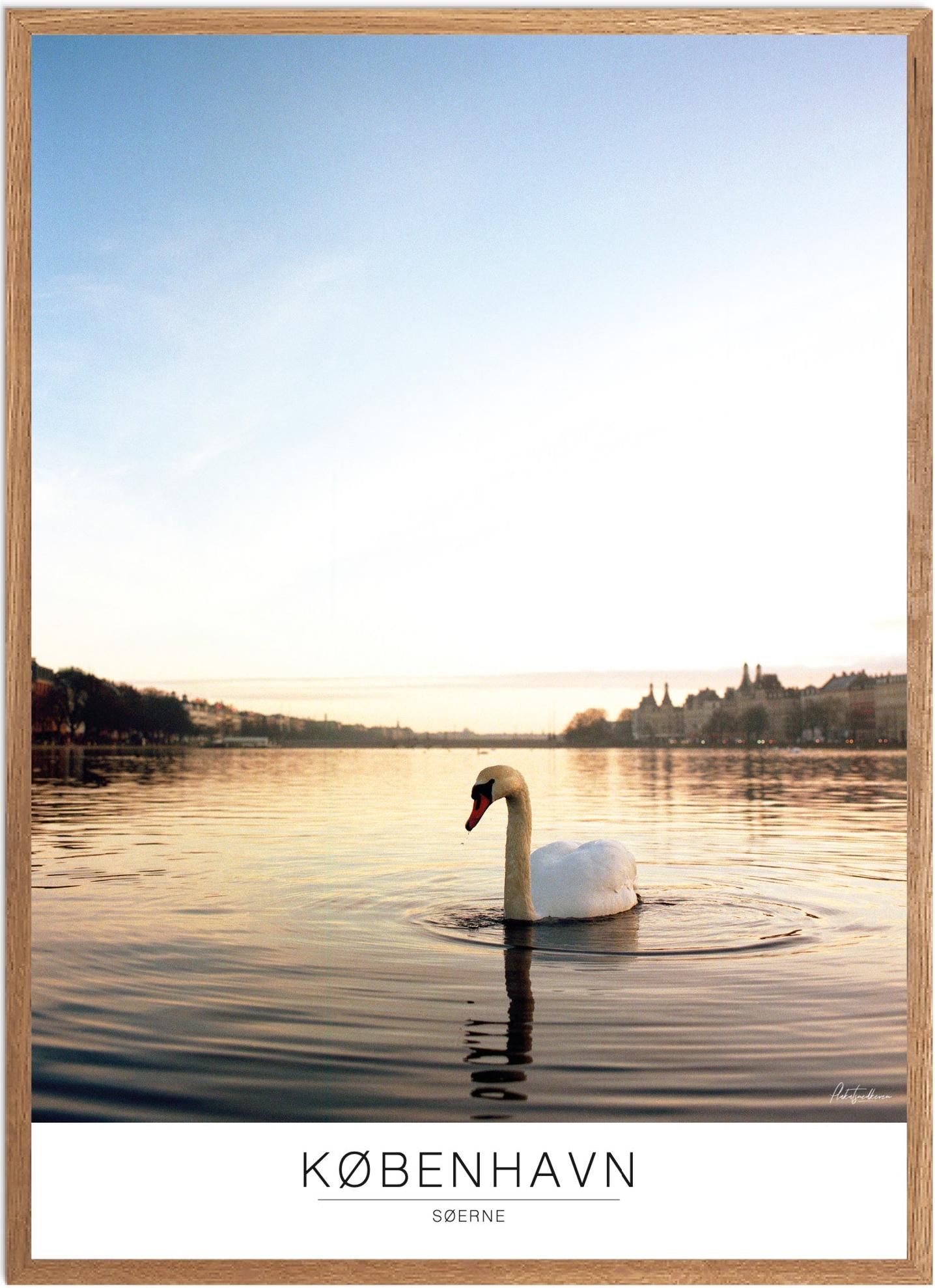 Søerne Plakat | Naturplakat fra Plakatsnedkeren