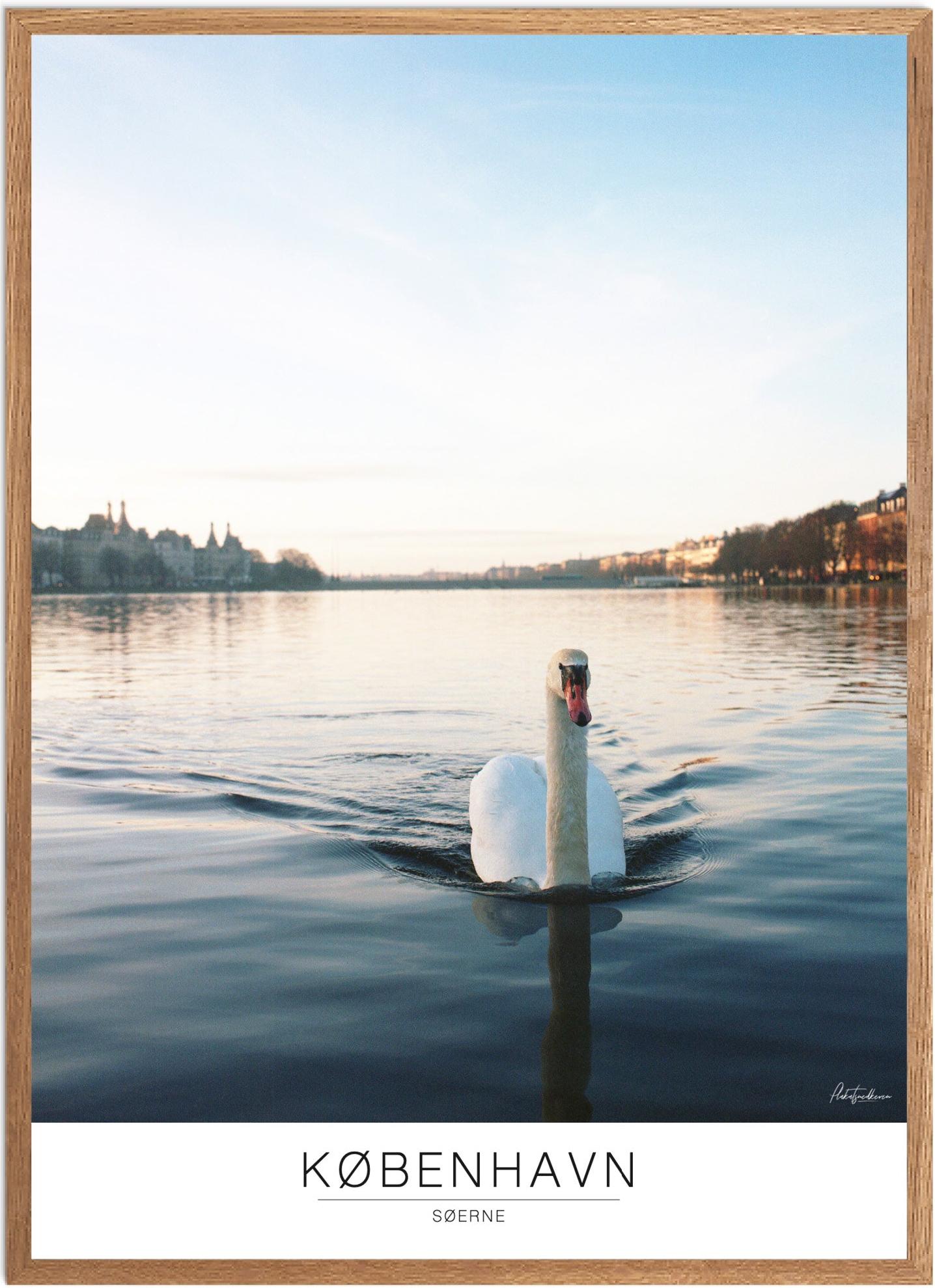 Plakat af Københavns Søer | Naturplakat til hjemmet