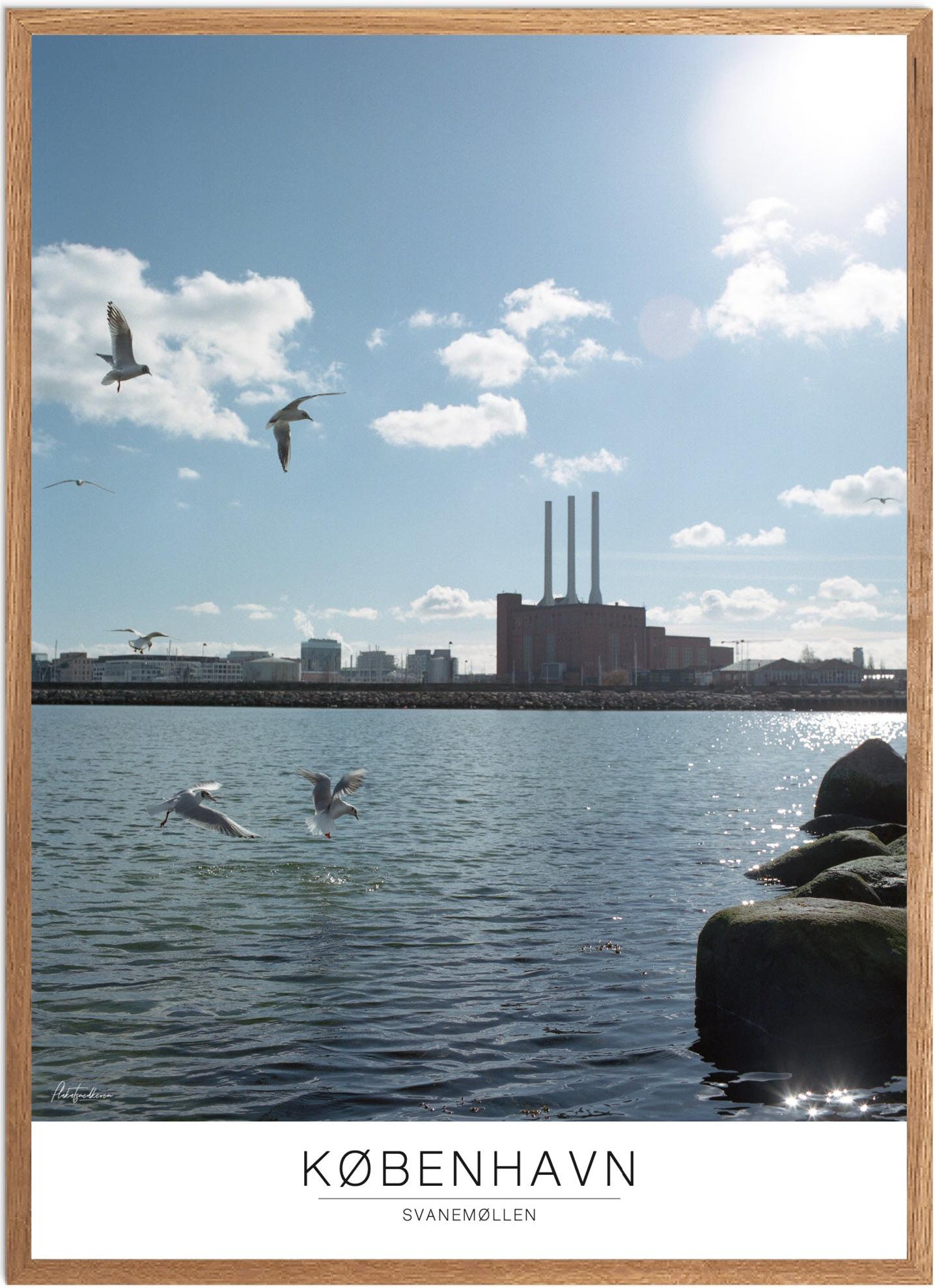 Plakat af Svanemøllen | Naturplakat til dit hjem