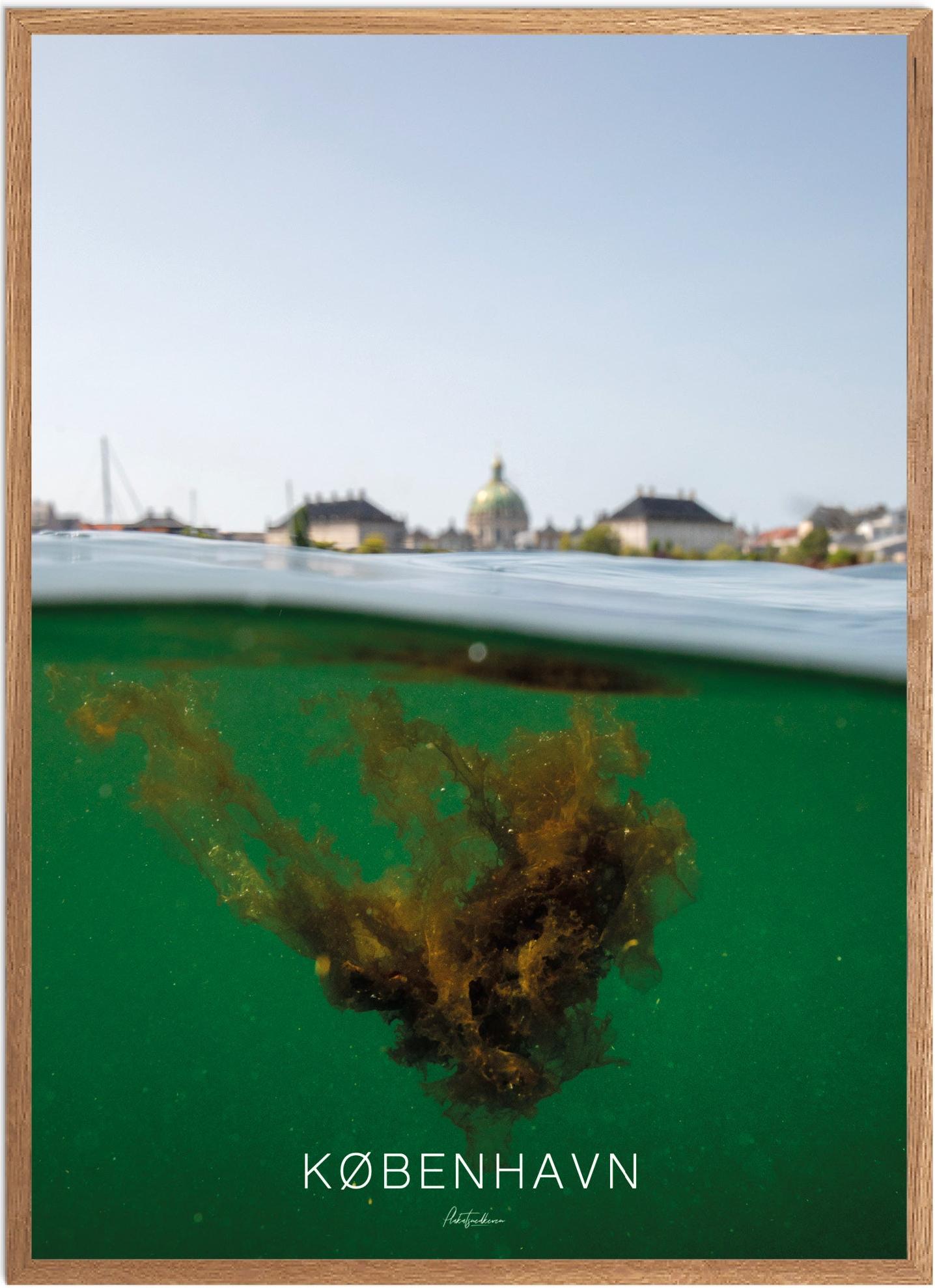 København Naturplakat - Oplev byens skønhed!