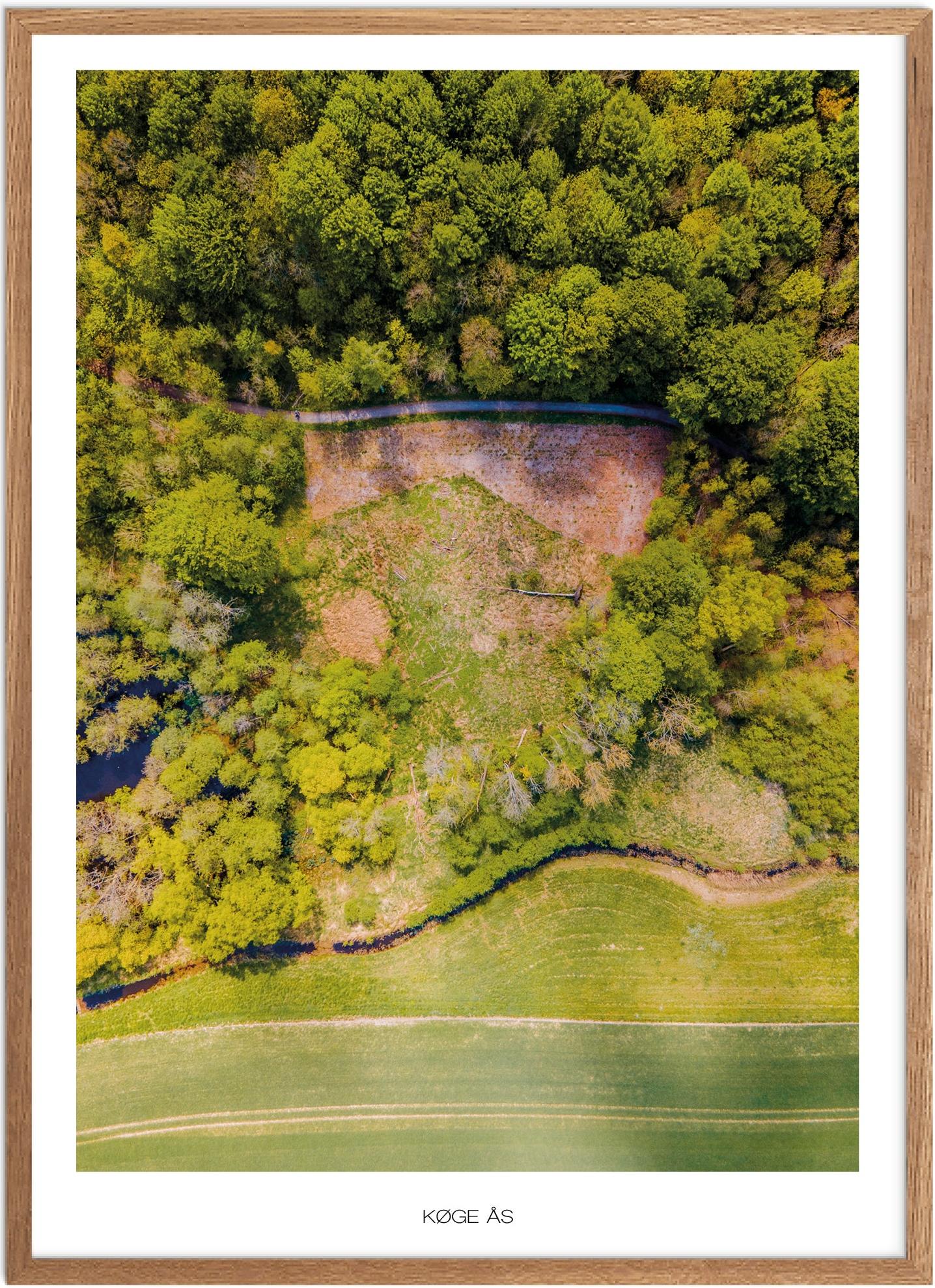 Plakat af Køge Ås | Naturplakat til dit hjem