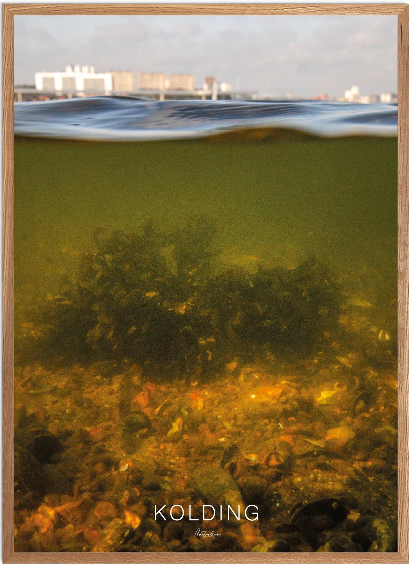 Plakat Kolding | Smuk Naturplakat til dit hjem