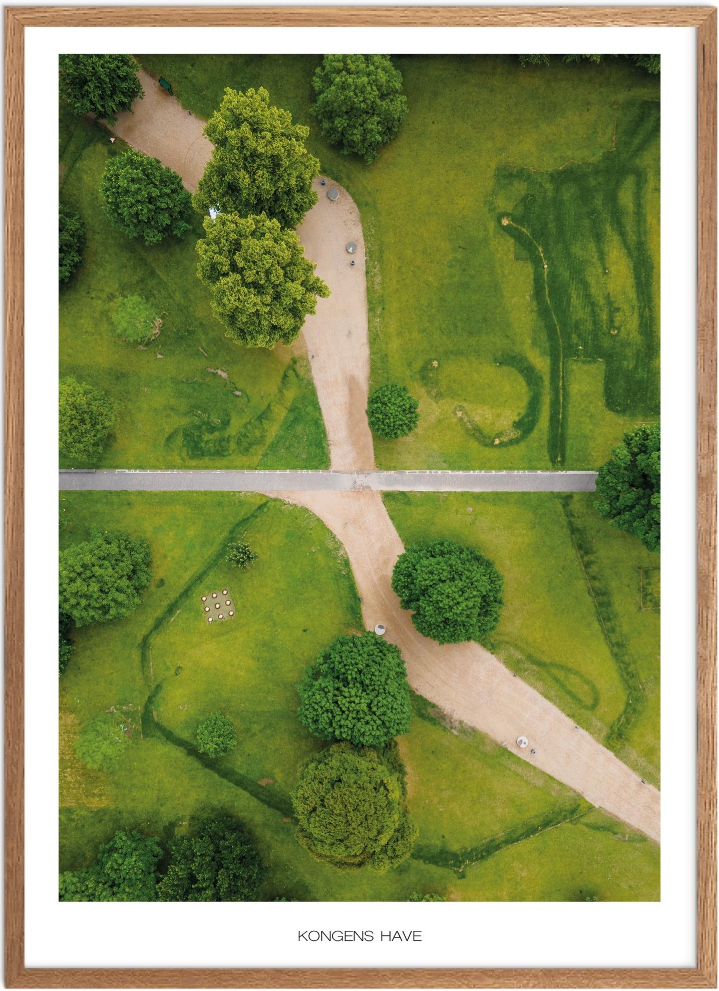 Kongens Have Plakat | Smuk Naturplakat fra Fyn
