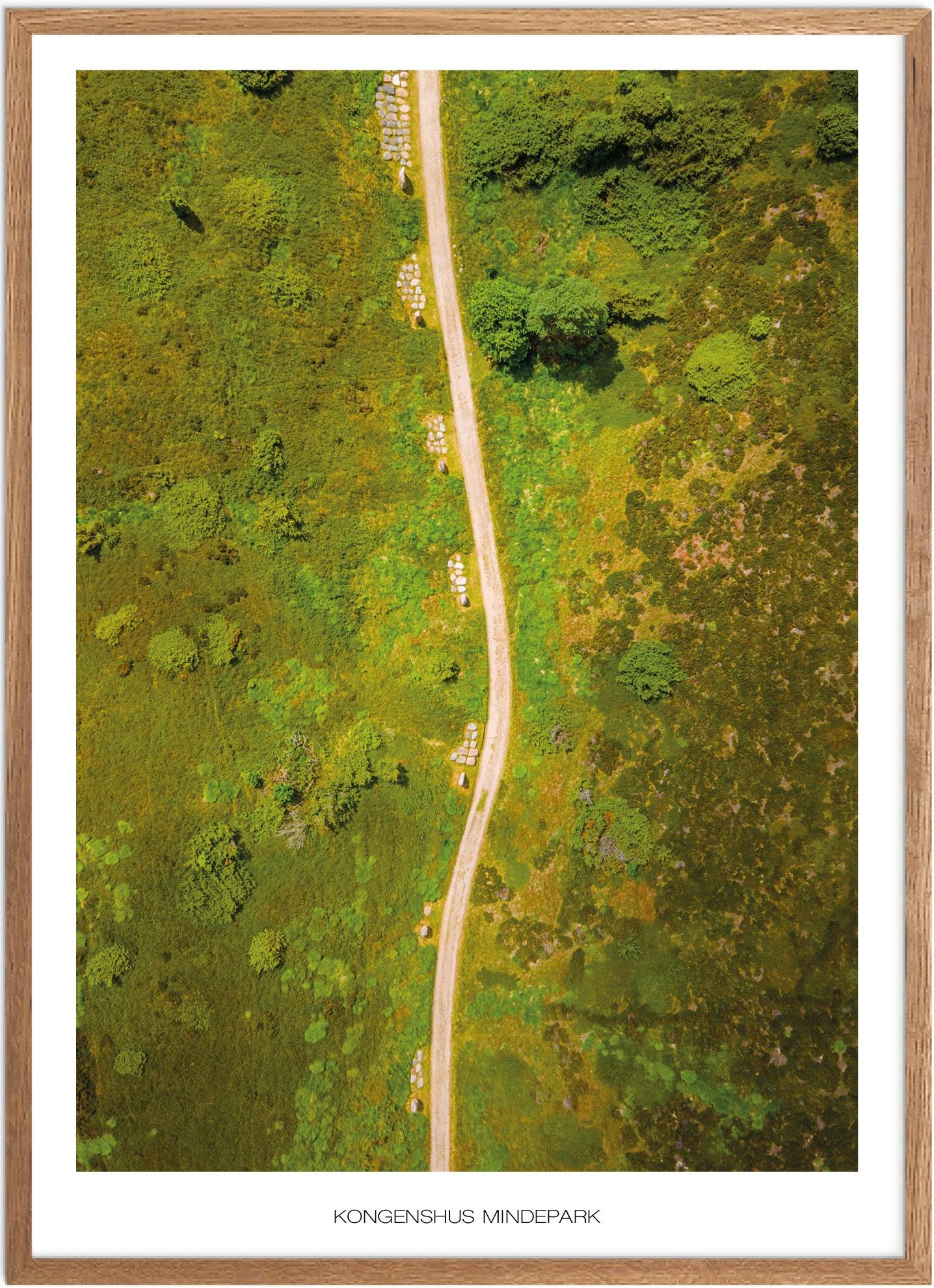 Plakat af Kongenshus Mindepark | Naturplakat til salg