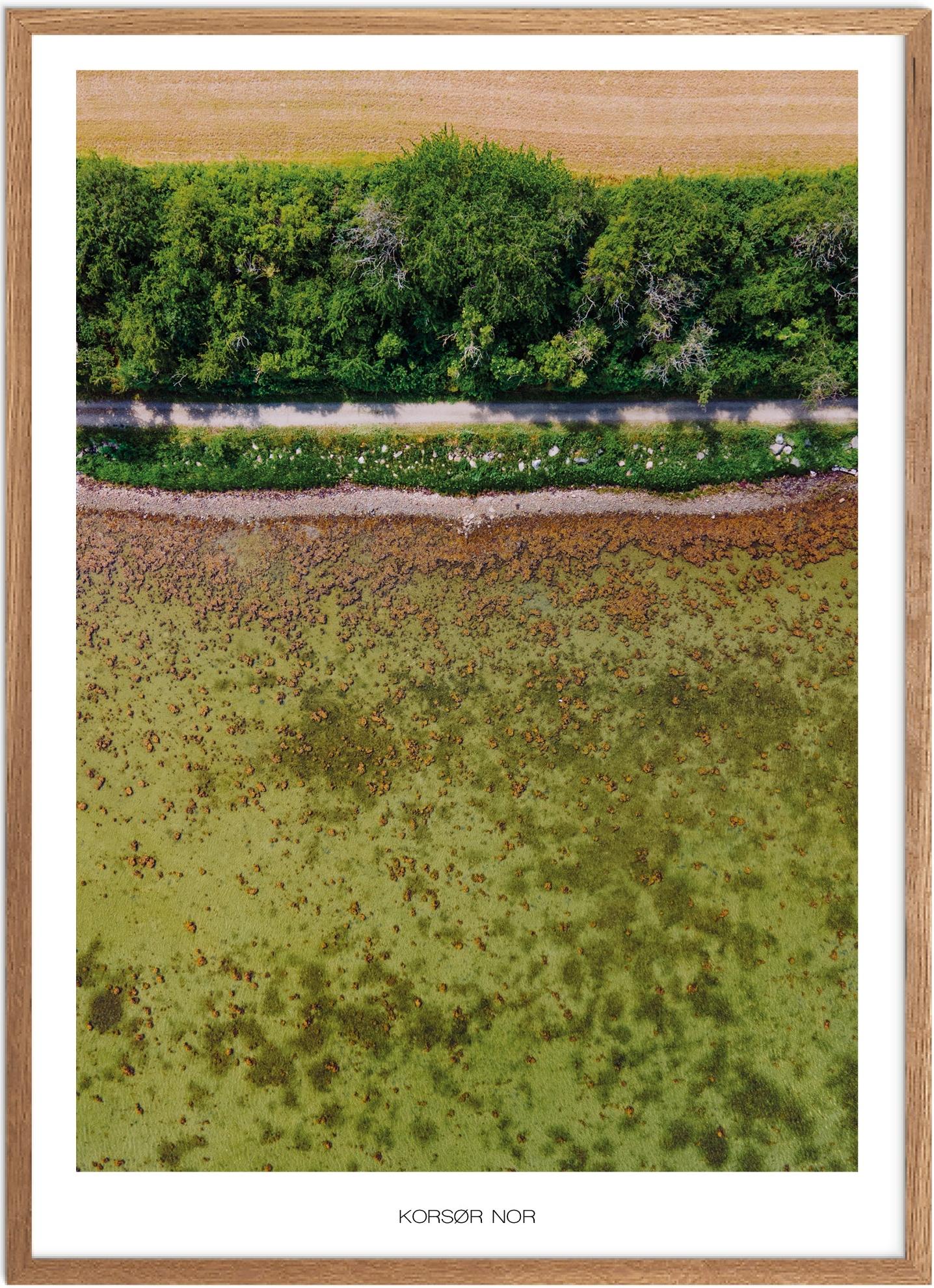 Plakat af Korsør Nor - Naturplakat fra Plakatsnedkeren
