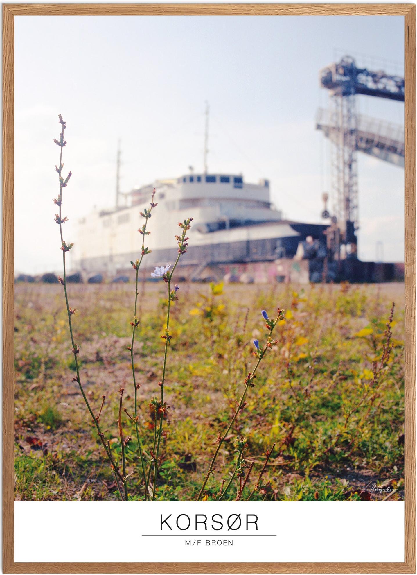 Korsør Plakat | Smukt Naturmotiv fra Plakatsnedkeren