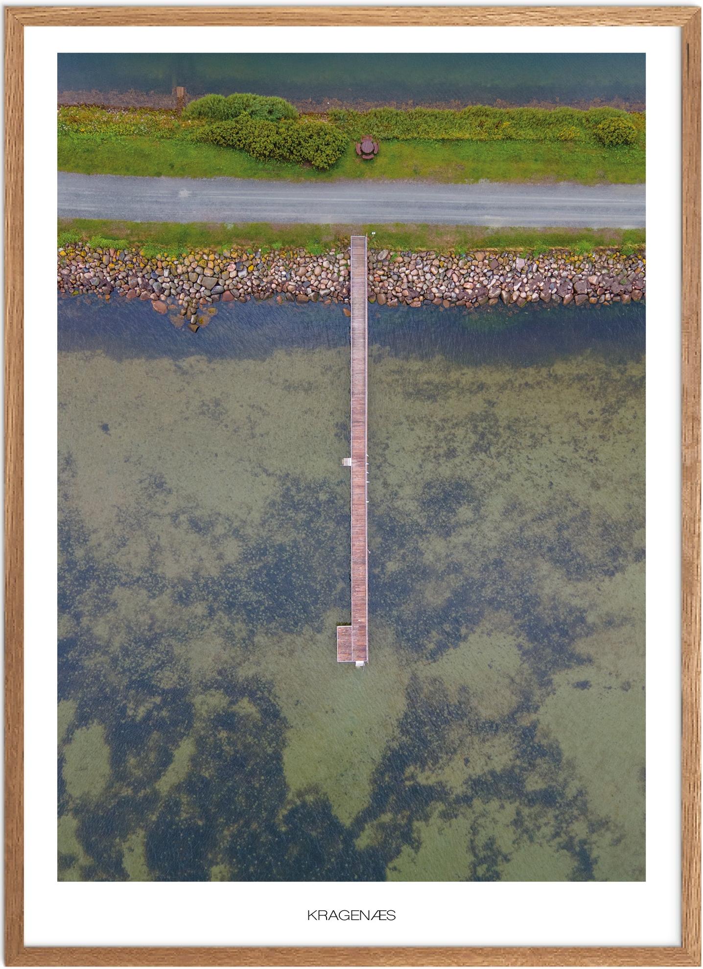 Plakat af Kragenæs | Naturplakat fra Lolland og Falster