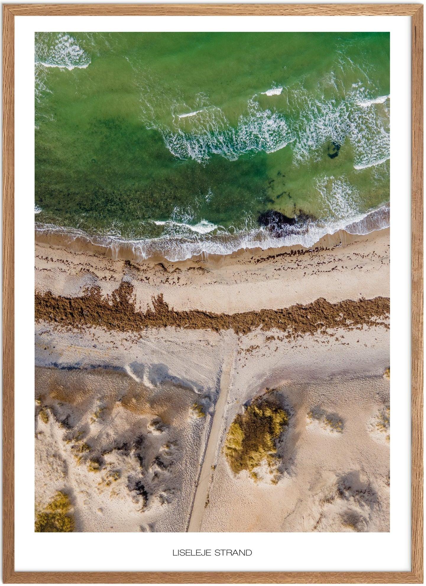 Plakat af Liseleje Strand | Naturplakat fra Nordsjælland