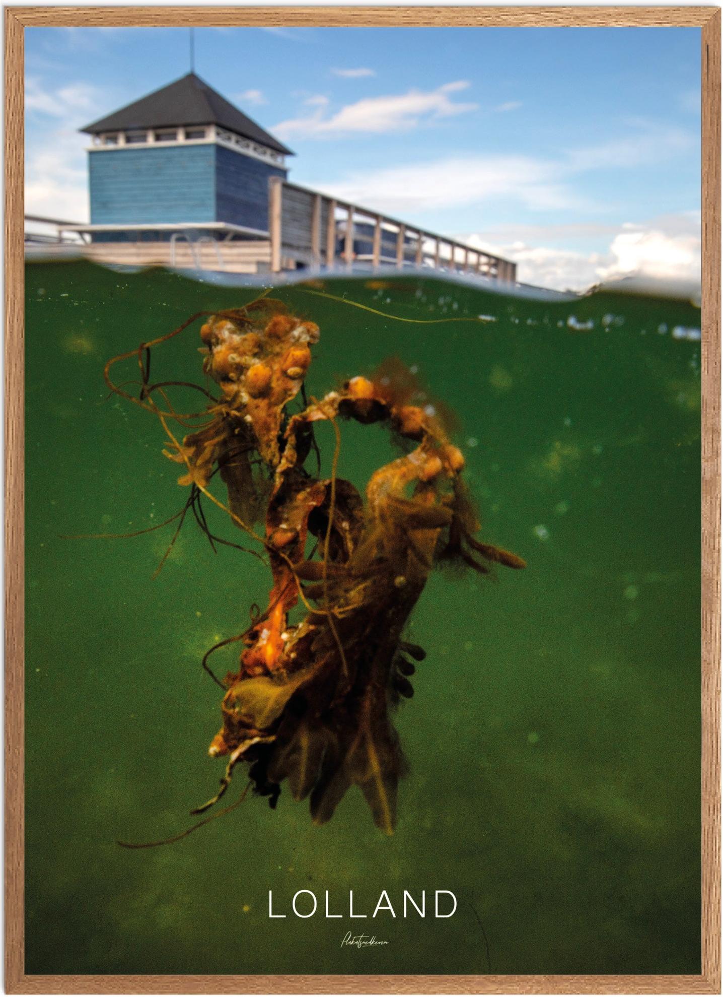 Plakat af Lolland | Naturplakat fra Plakatsnedkeren