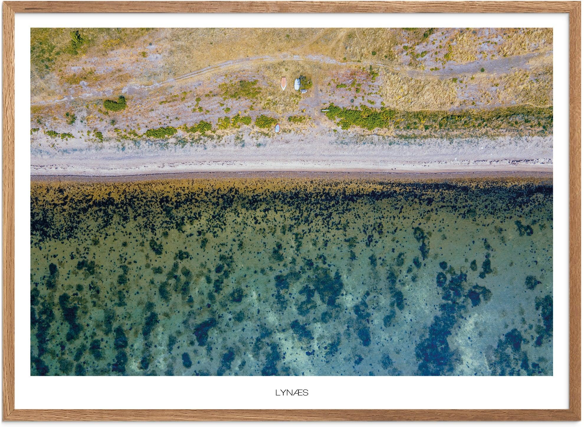 Plakat af Lynæs | Naturplakat fra Nordsjælland