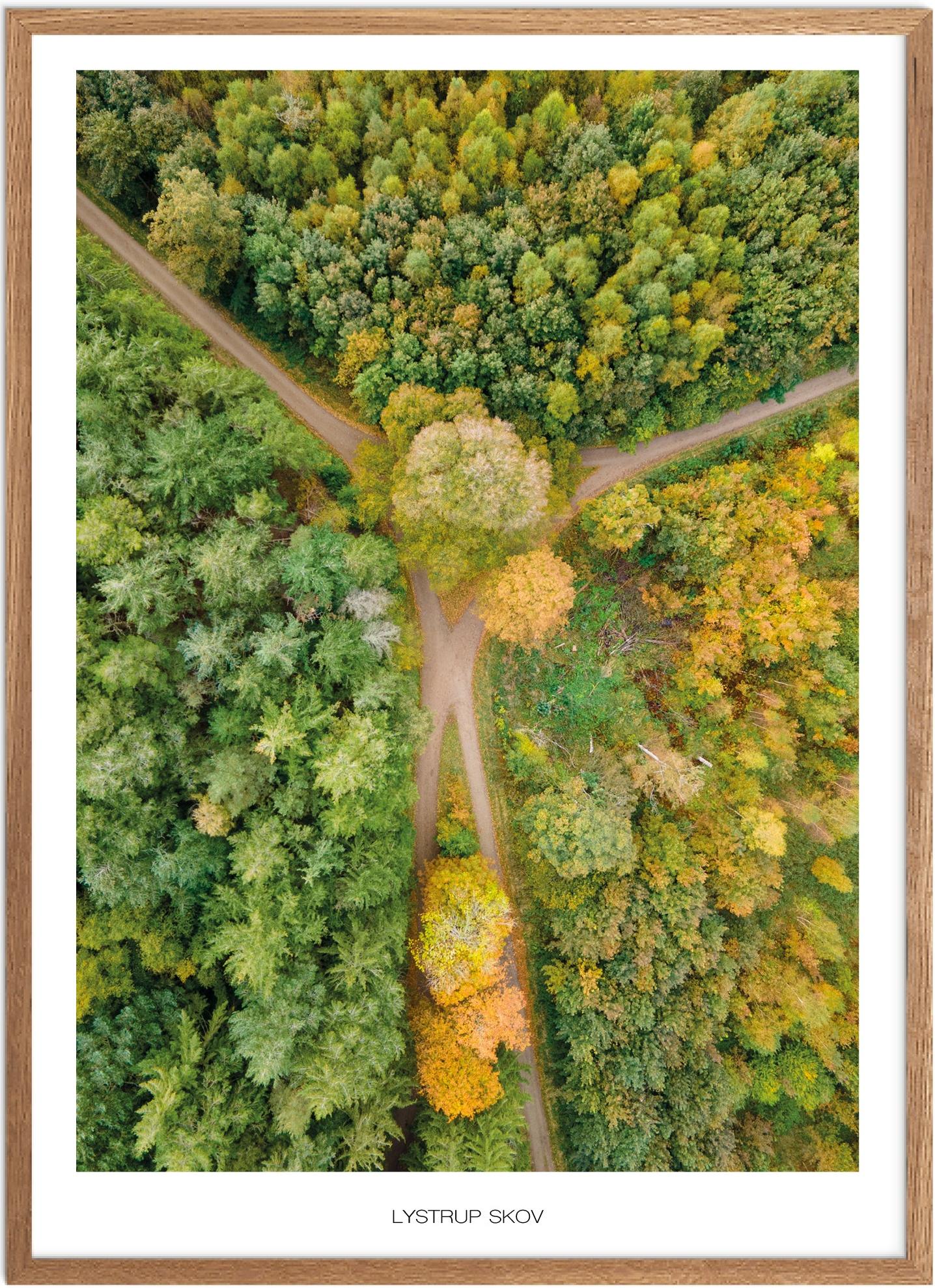 Plakat af Lystrup Skov | Naturplakat fra Nordsjælland