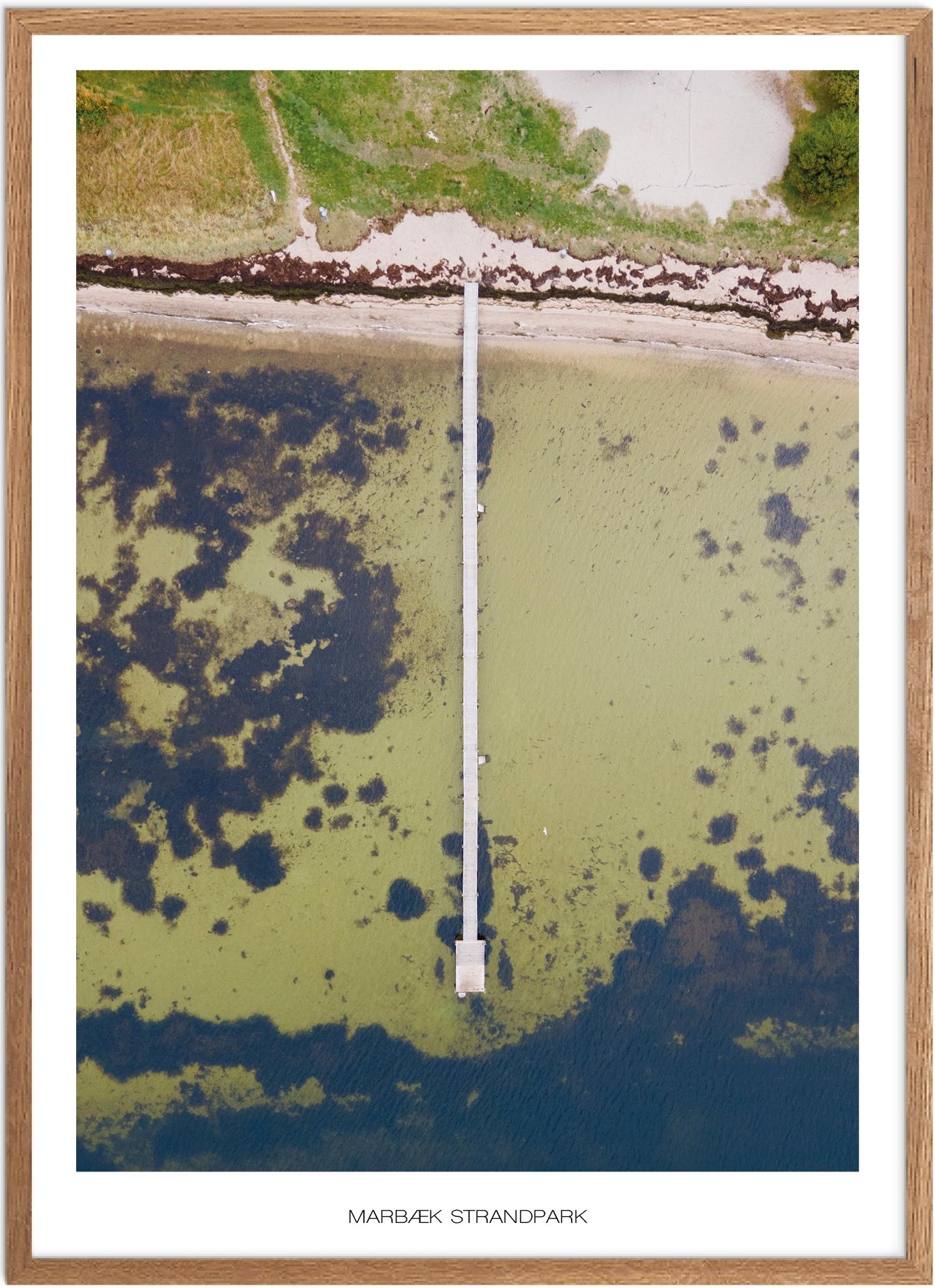 Plakat af Marbæk Strandpark | Naturplakat fra Nordsjælland