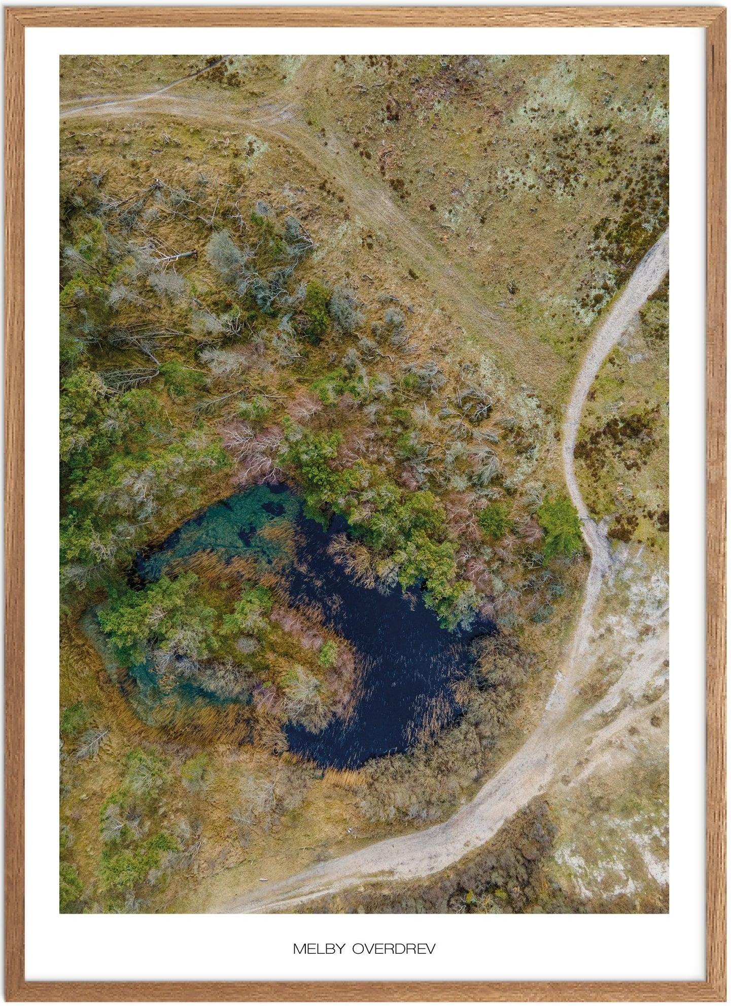 Plakat af Melby Overdrev | Naturplakat fra Nordsjælland