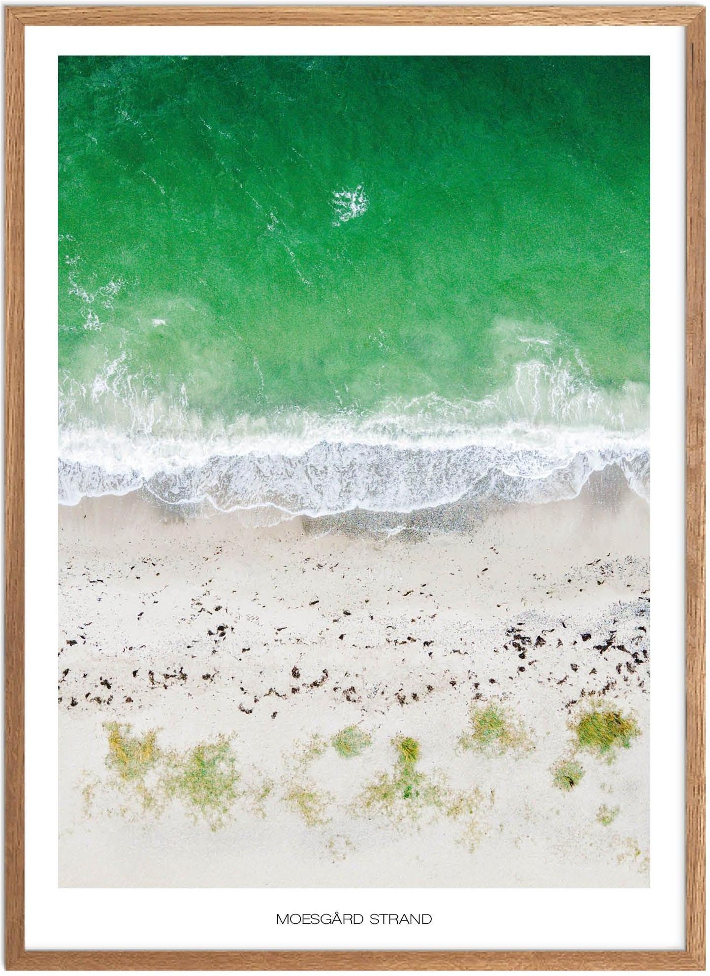 Moesgård Strand Plakat | Naturplakat fra Aarhus