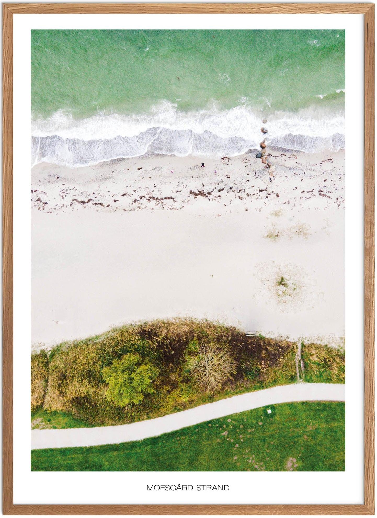 Moesgård Strand Plakat | Naturplakat fra Aarhus