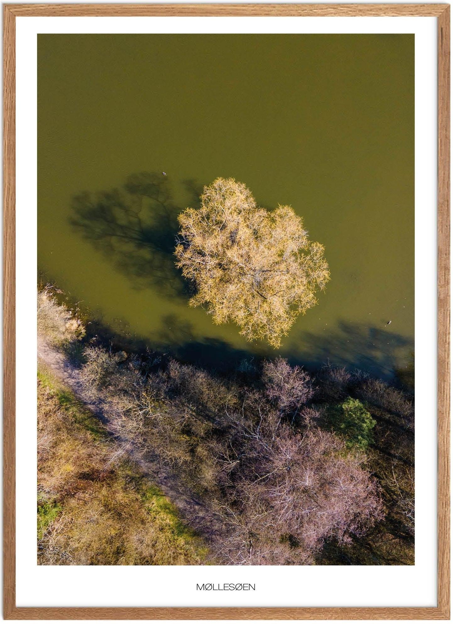 Møllesøen Plakat | Naturplakat fra Fyn | Plakatsnedkeren