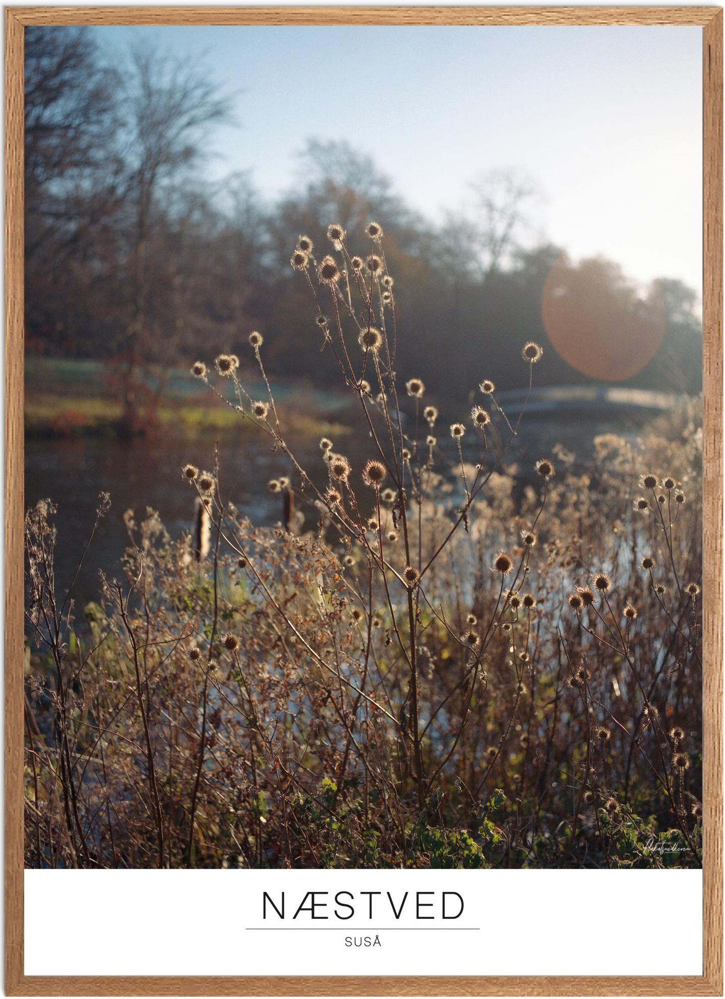 Plakat af Suså - Smuk naturplakat til hjemmet