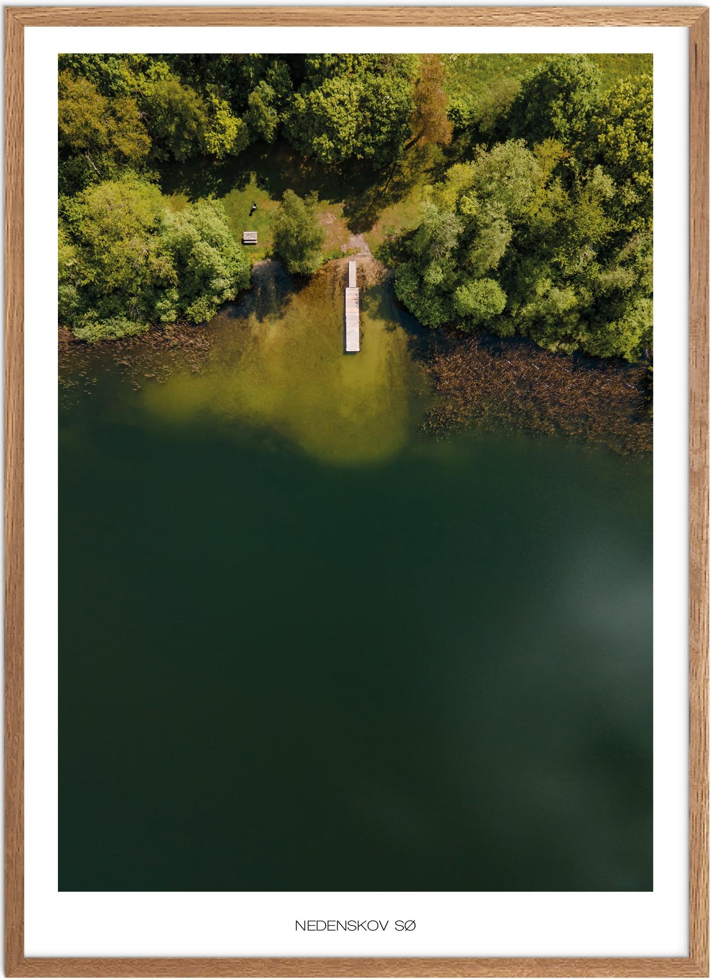 Plakat af Nedenskov Sø | Naturplakat fra Østjylland