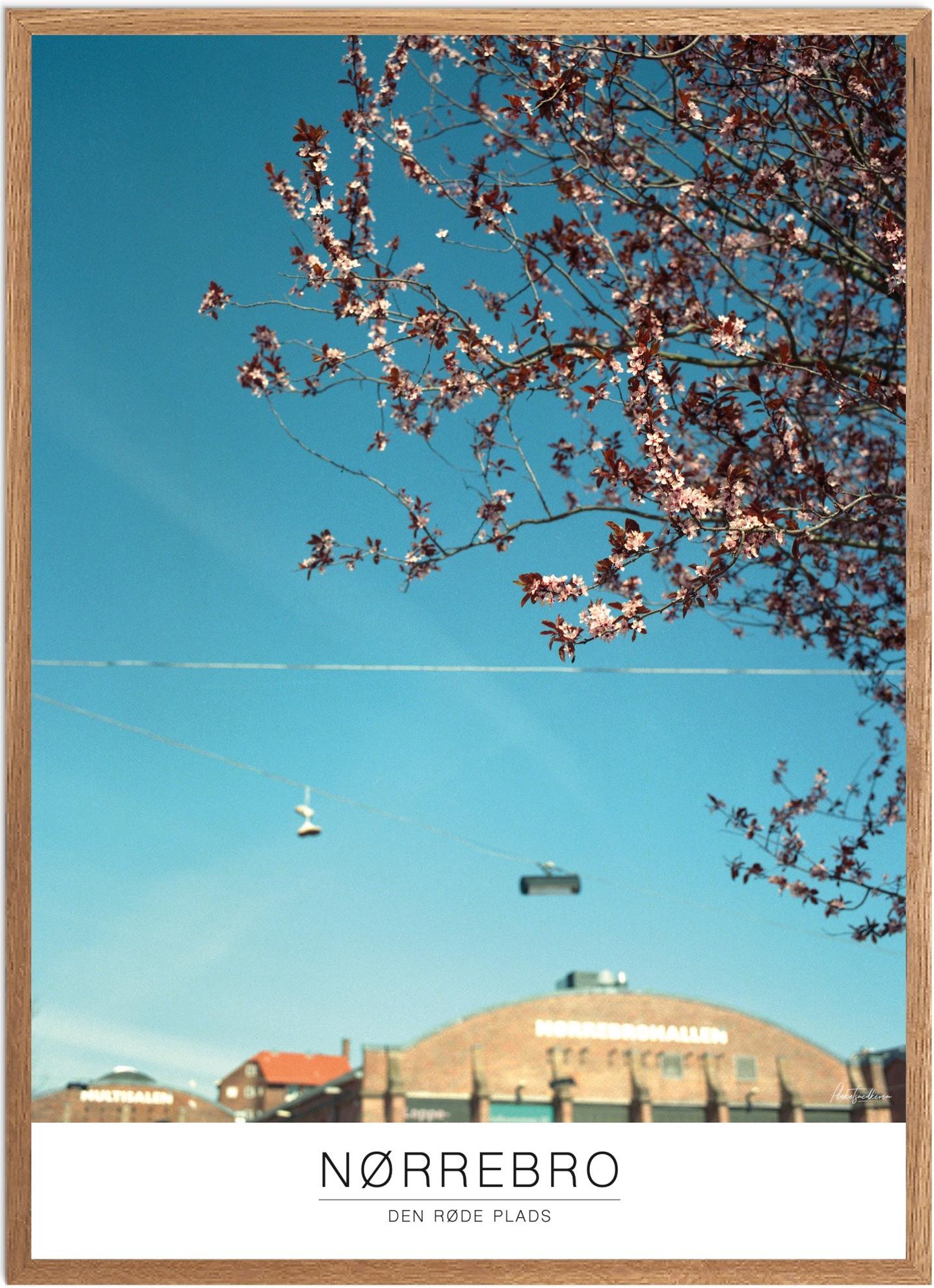 Plakat af Den Røde Plads | Naturplakat i København