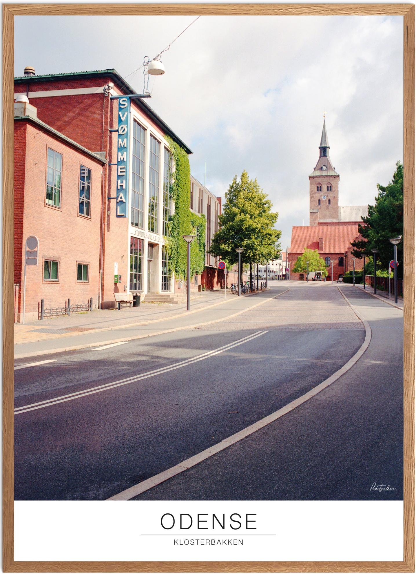 Plakat Odense | Tidløs Naturplakat til Dit Hjem